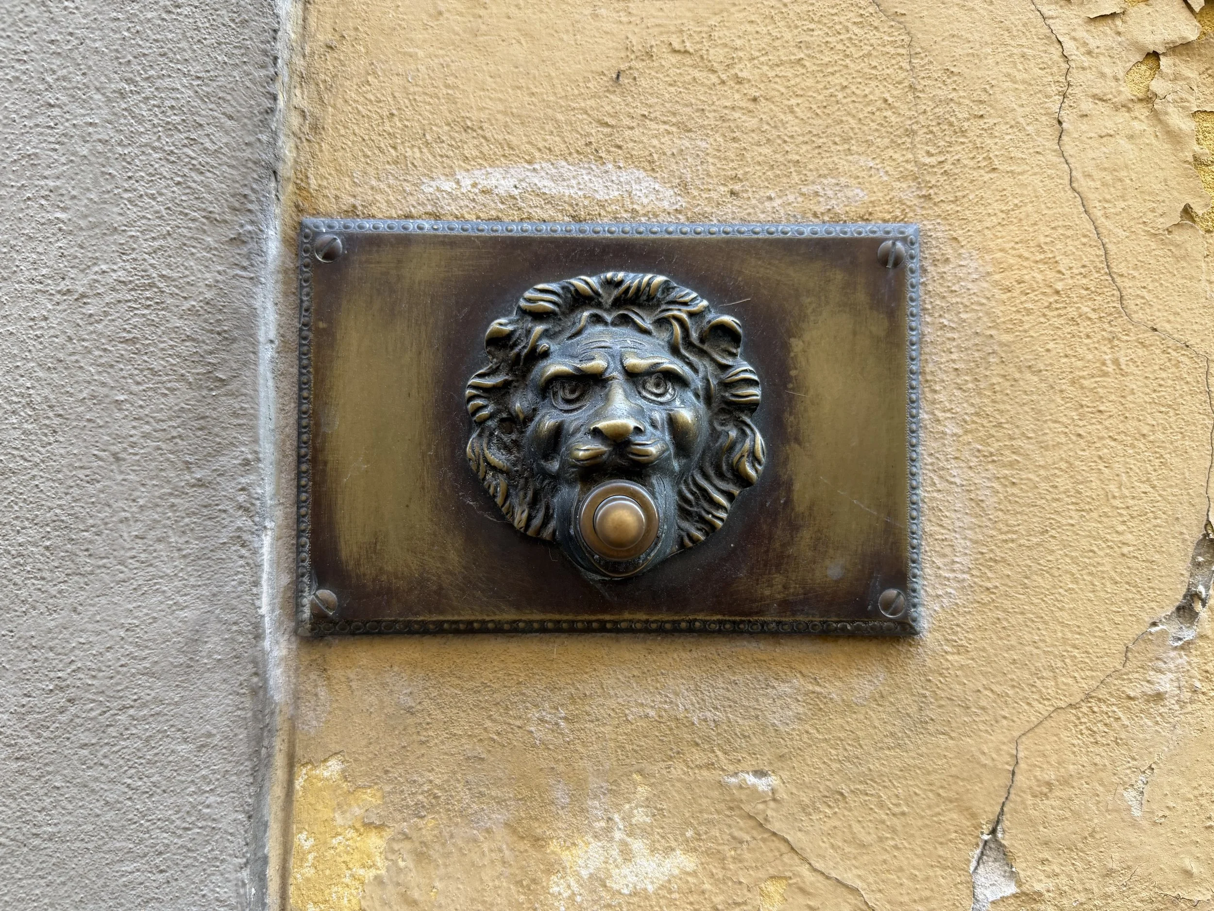 IMG_6476.jpeg