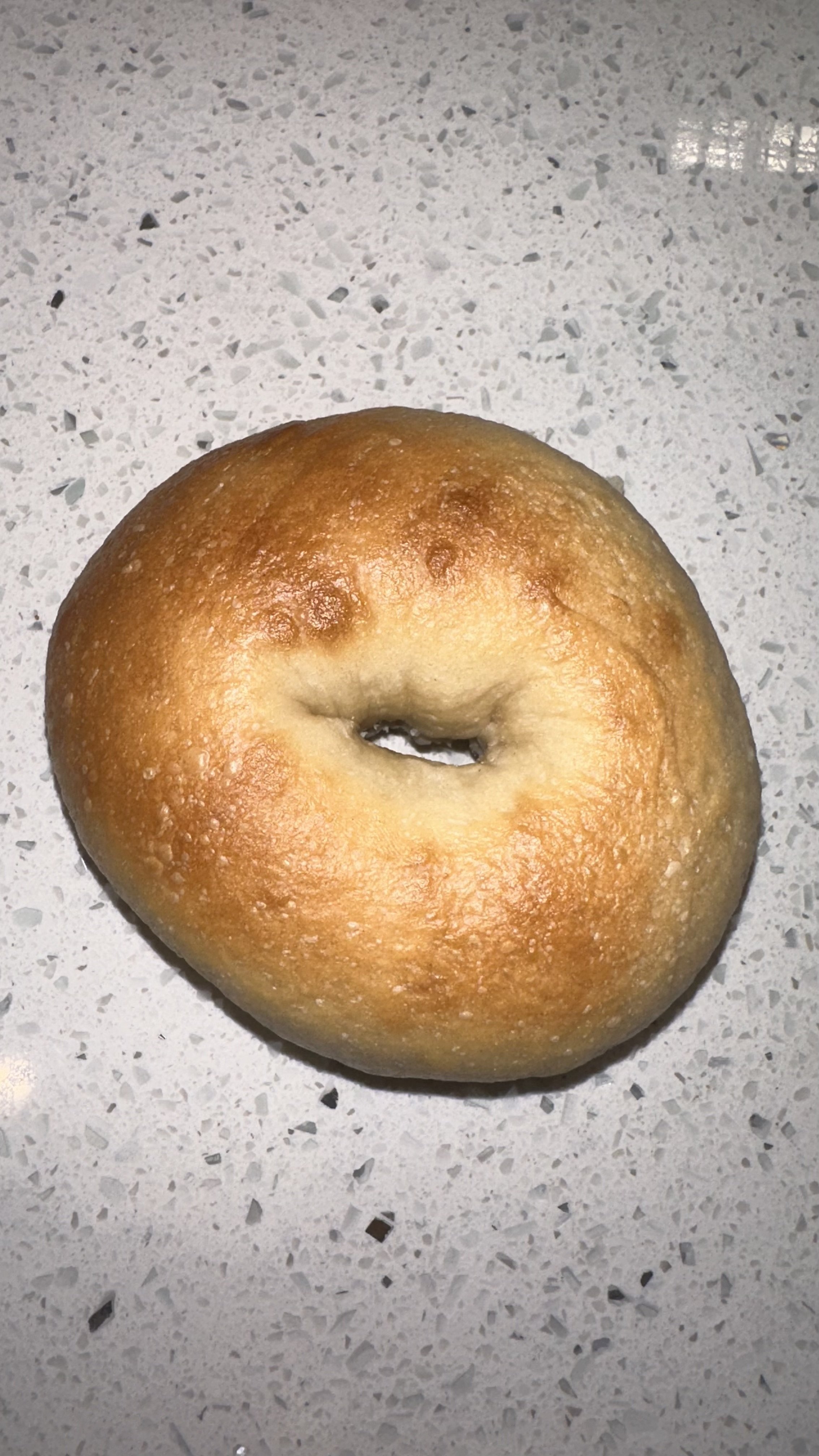 Sourdough Bagel