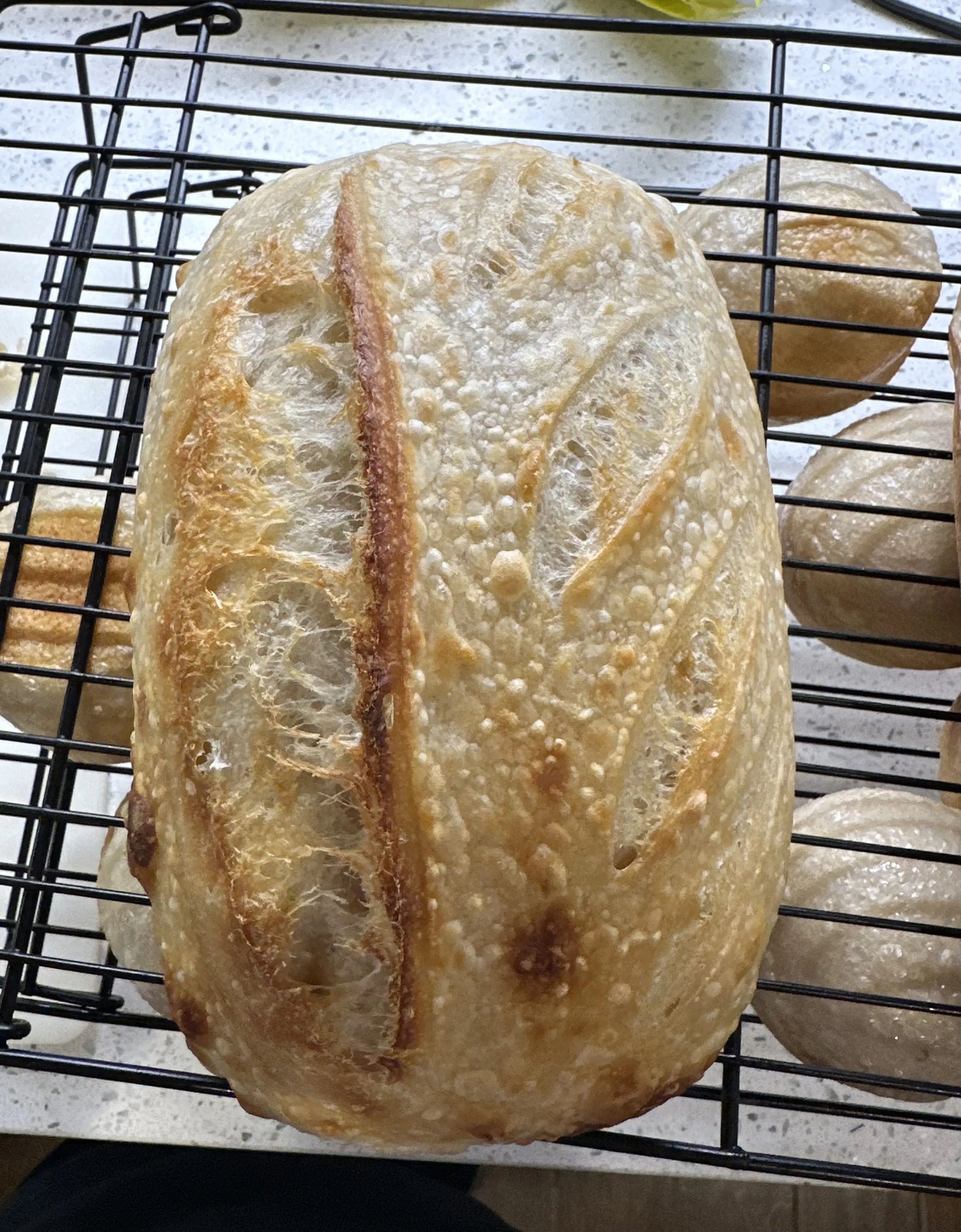 Sourdough Loaf