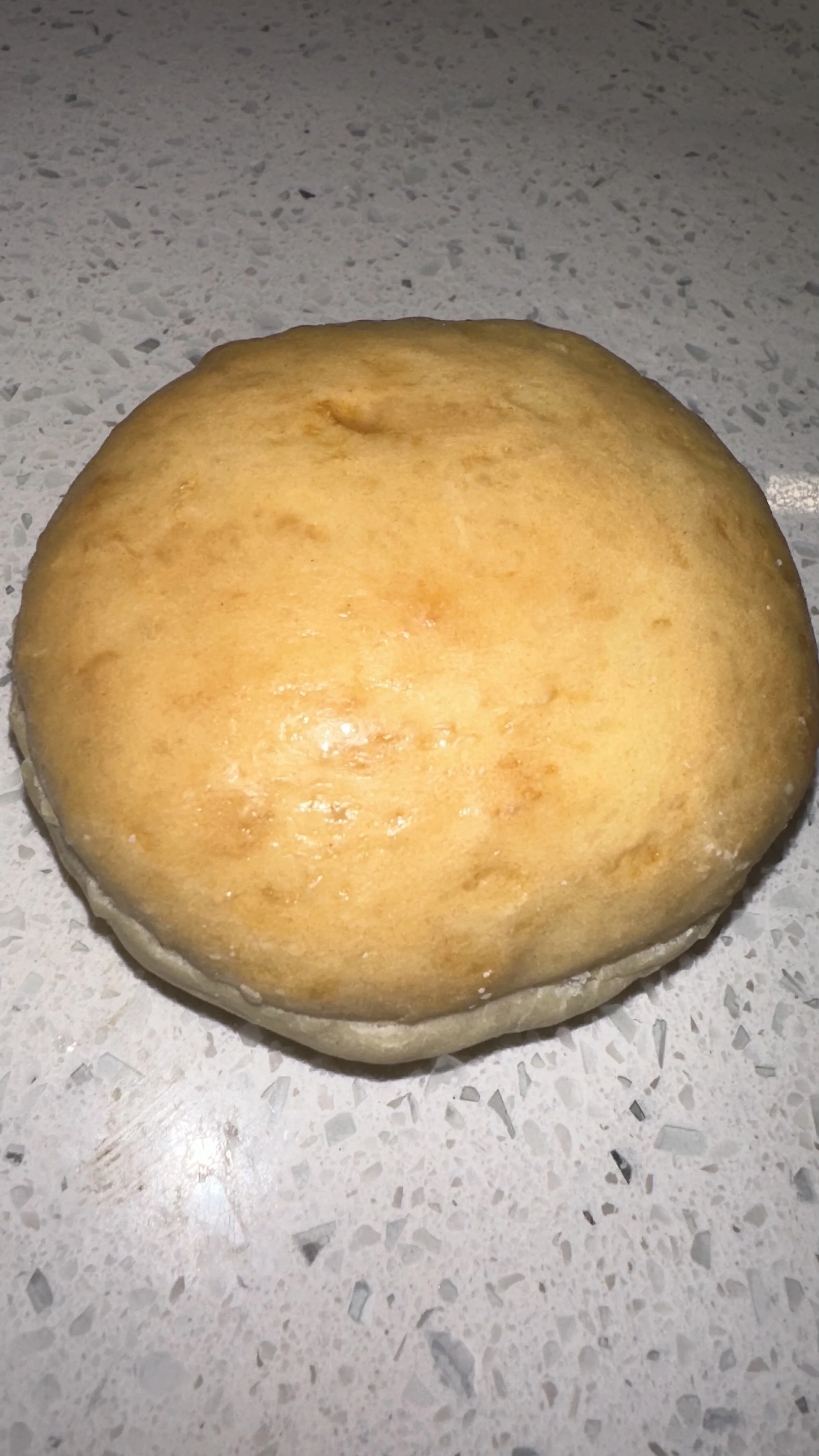 Hamburger buns