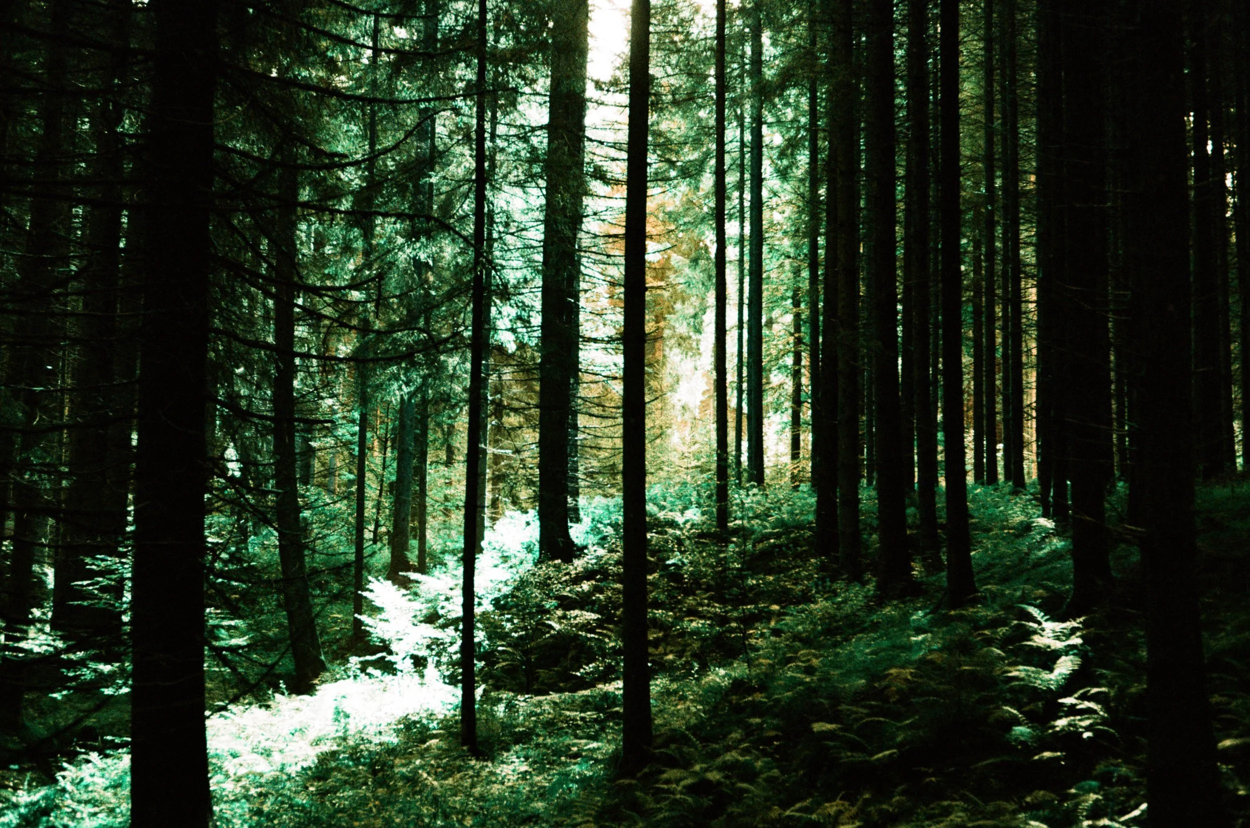 lukasmichaelreindl-somewhere-2025-windhing-18.jpg