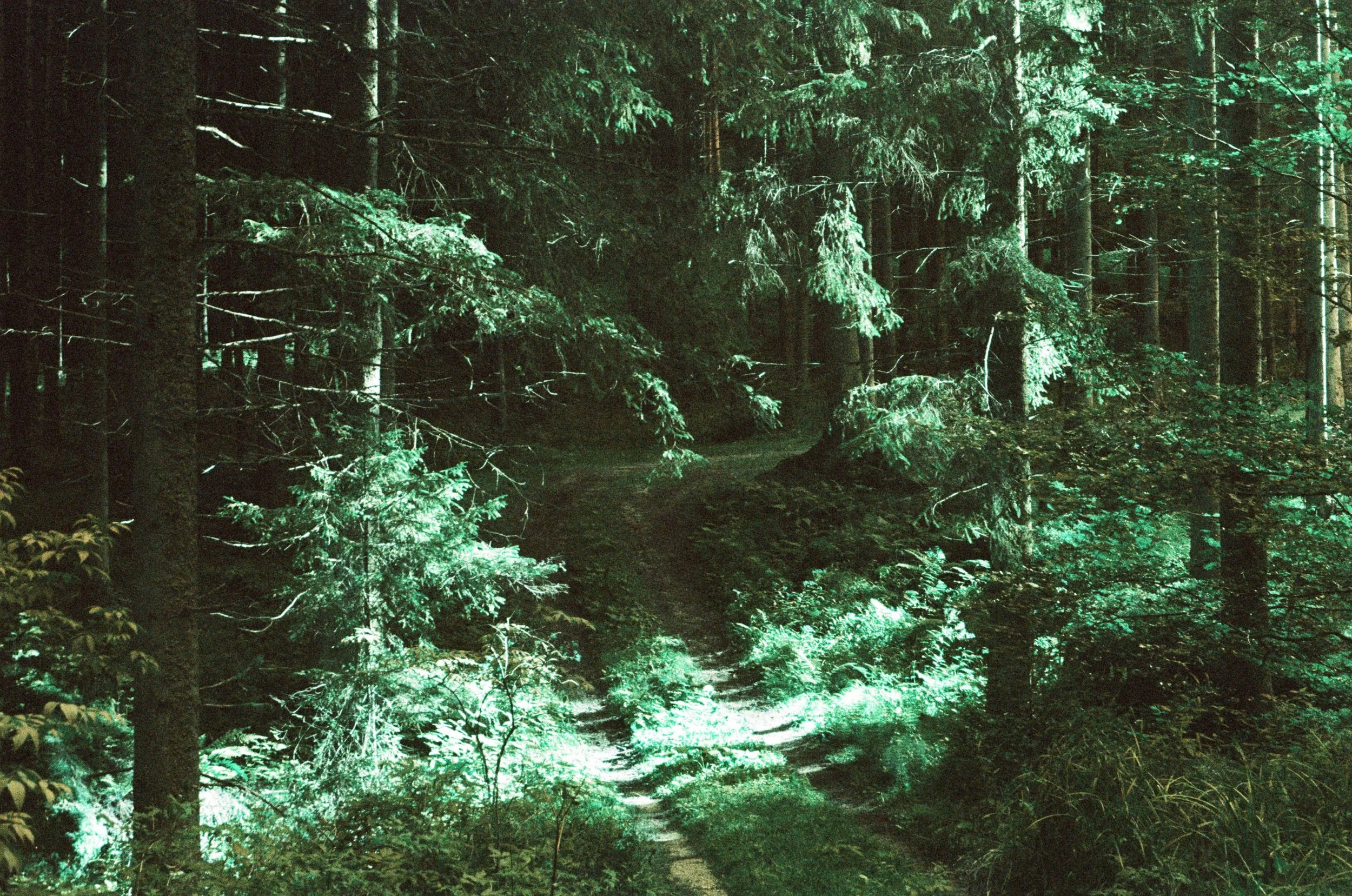 lukasmichaelreindl-somewhere-2025-windhing-21.jpg