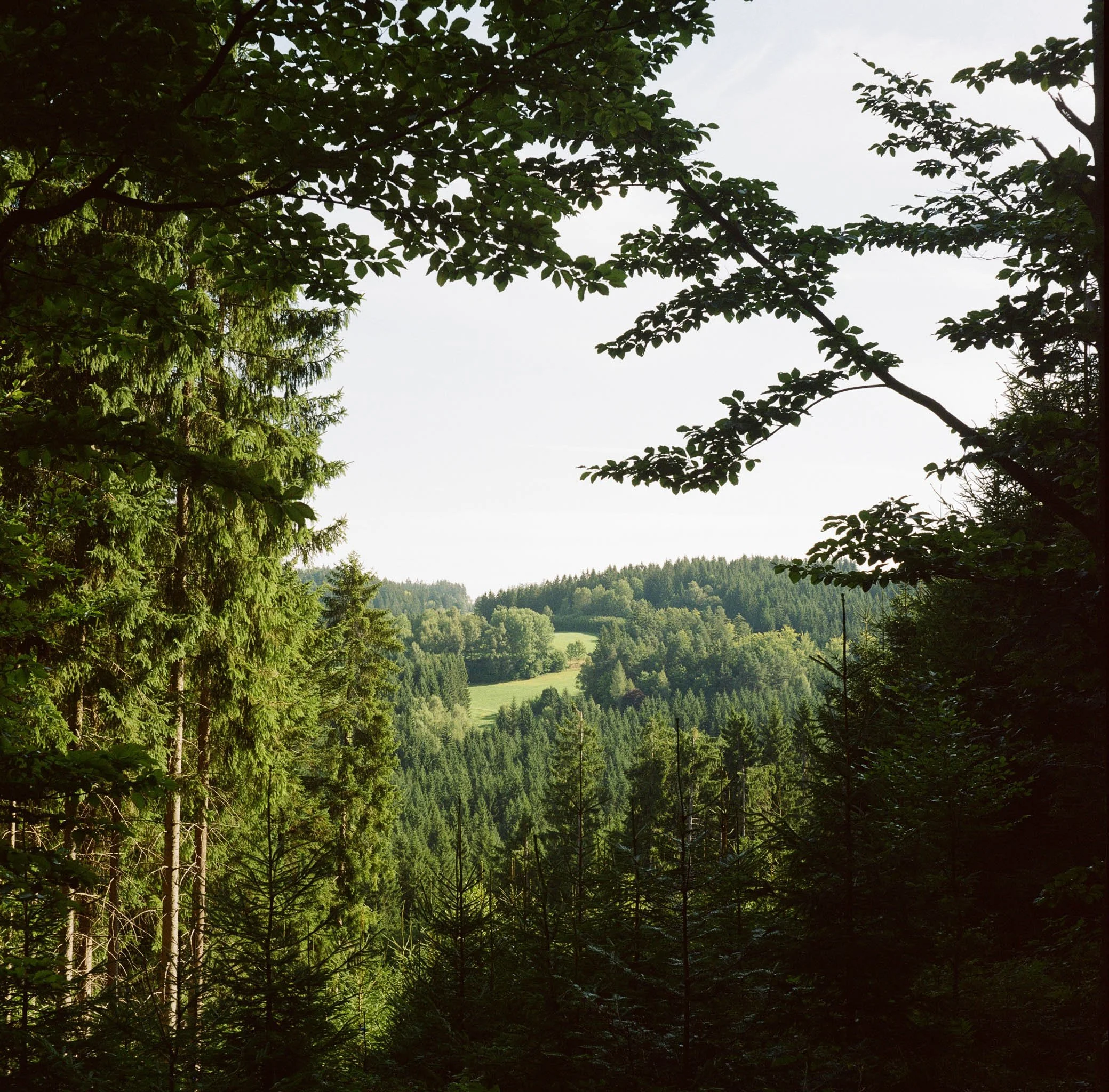 lukasmichaelreindl-somewhere-2025-windhing-7.jpg