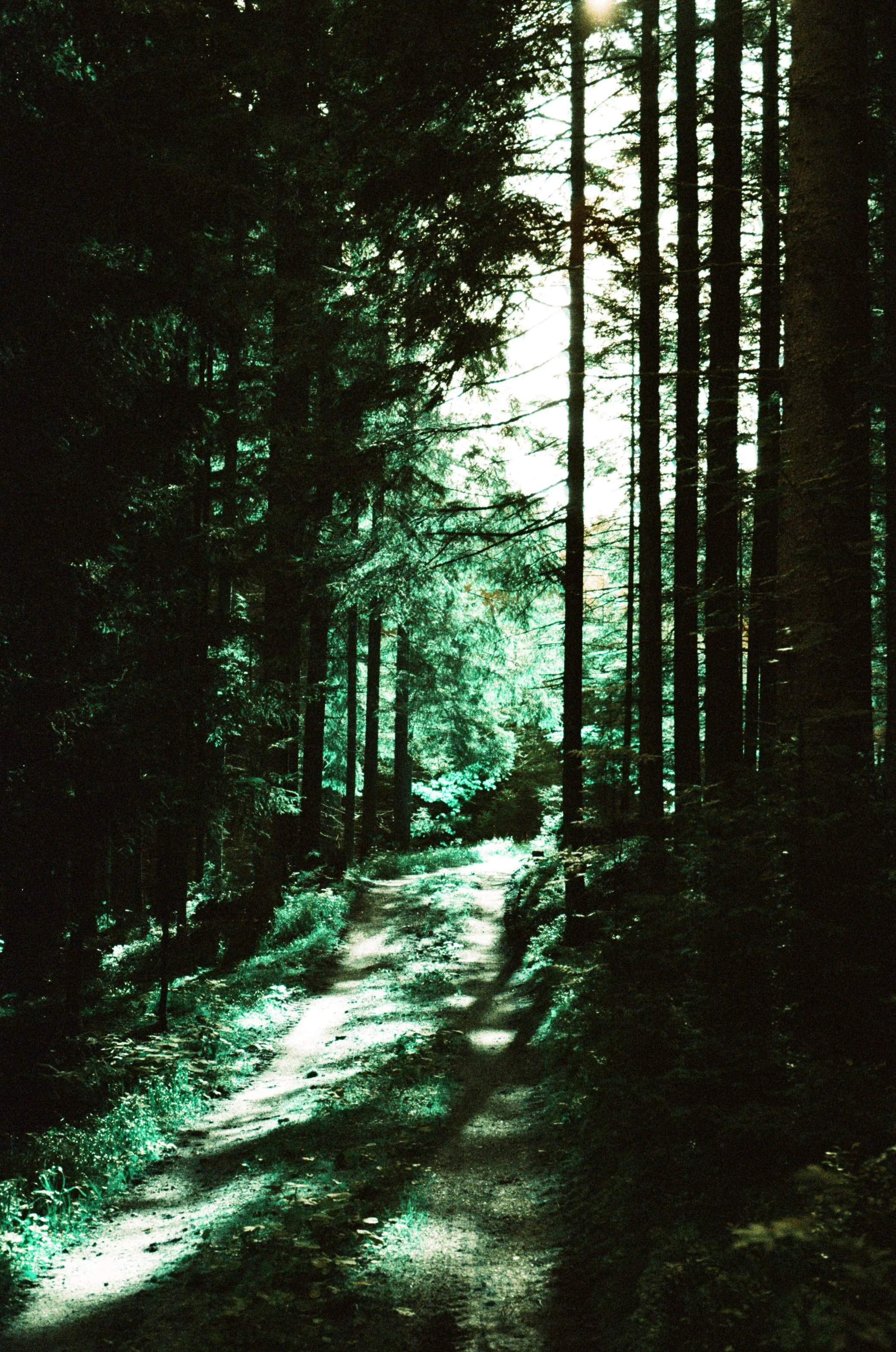 lukasmichaelreindl-somewhere-2025-windhing-13.jpg