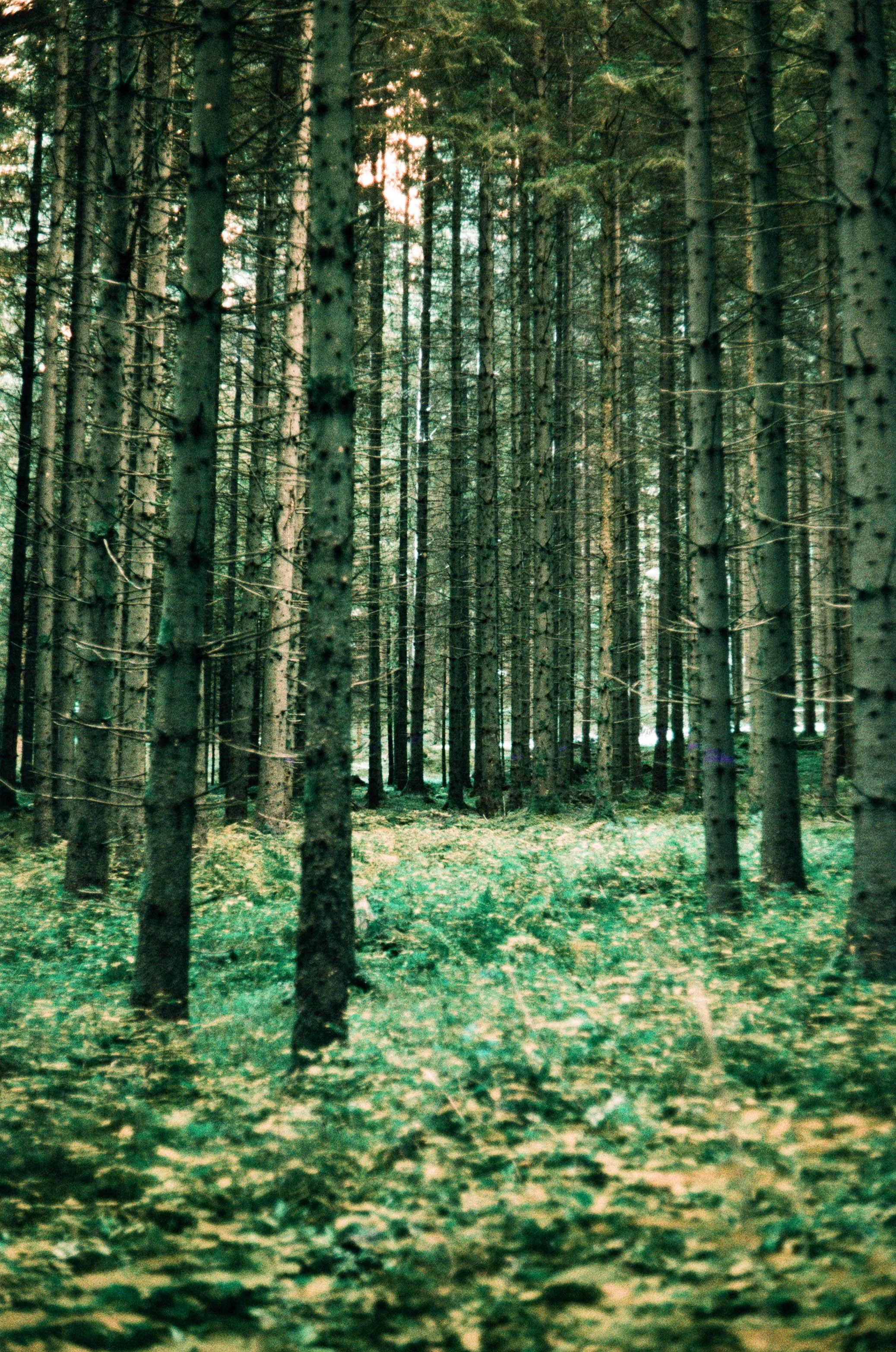 lukasmichaelreindl-somewhere-2025-windhing-15.jpg