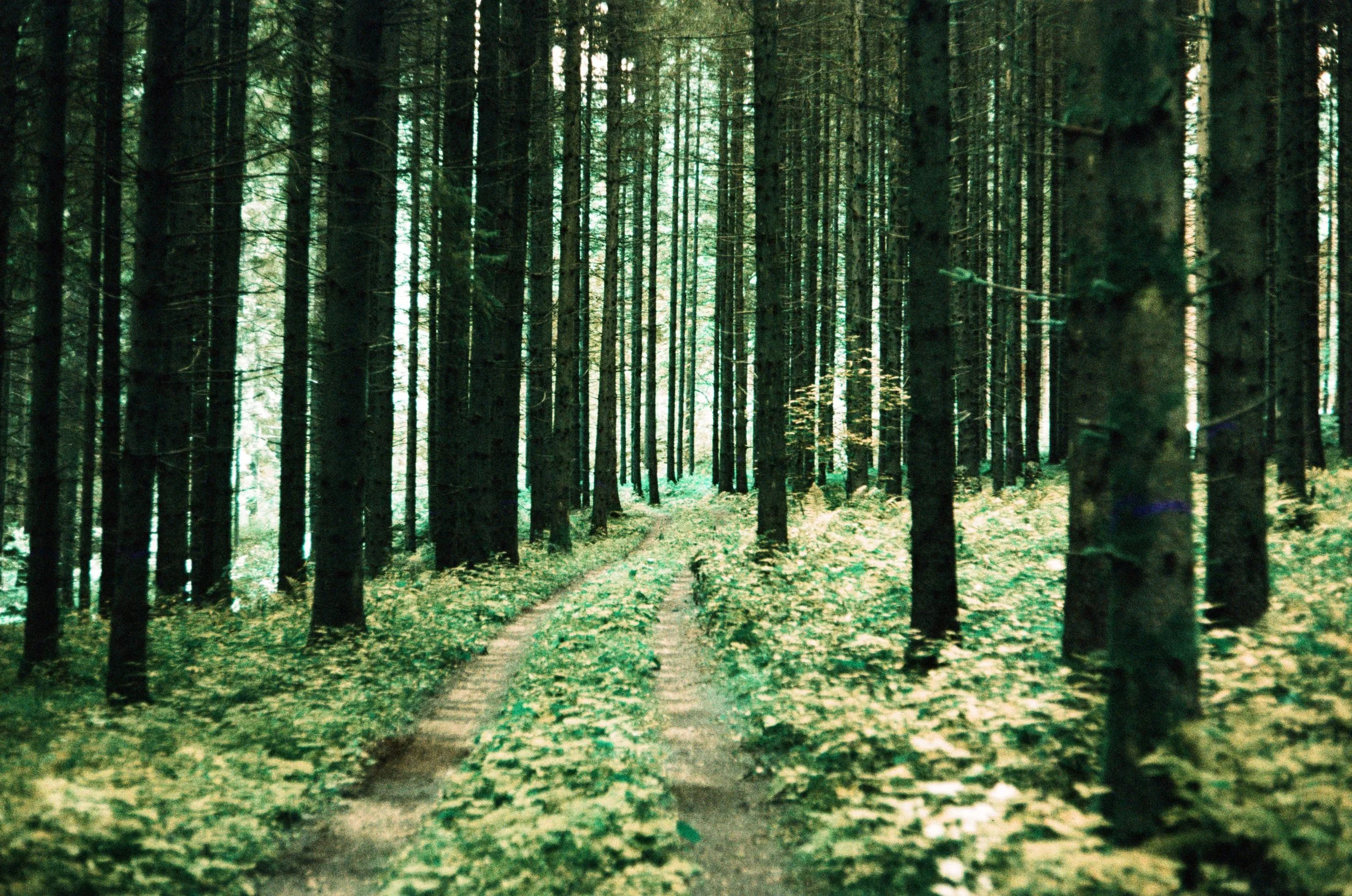 lukasmichaelreindl-somewhere-2025-windhing-17.jpg
