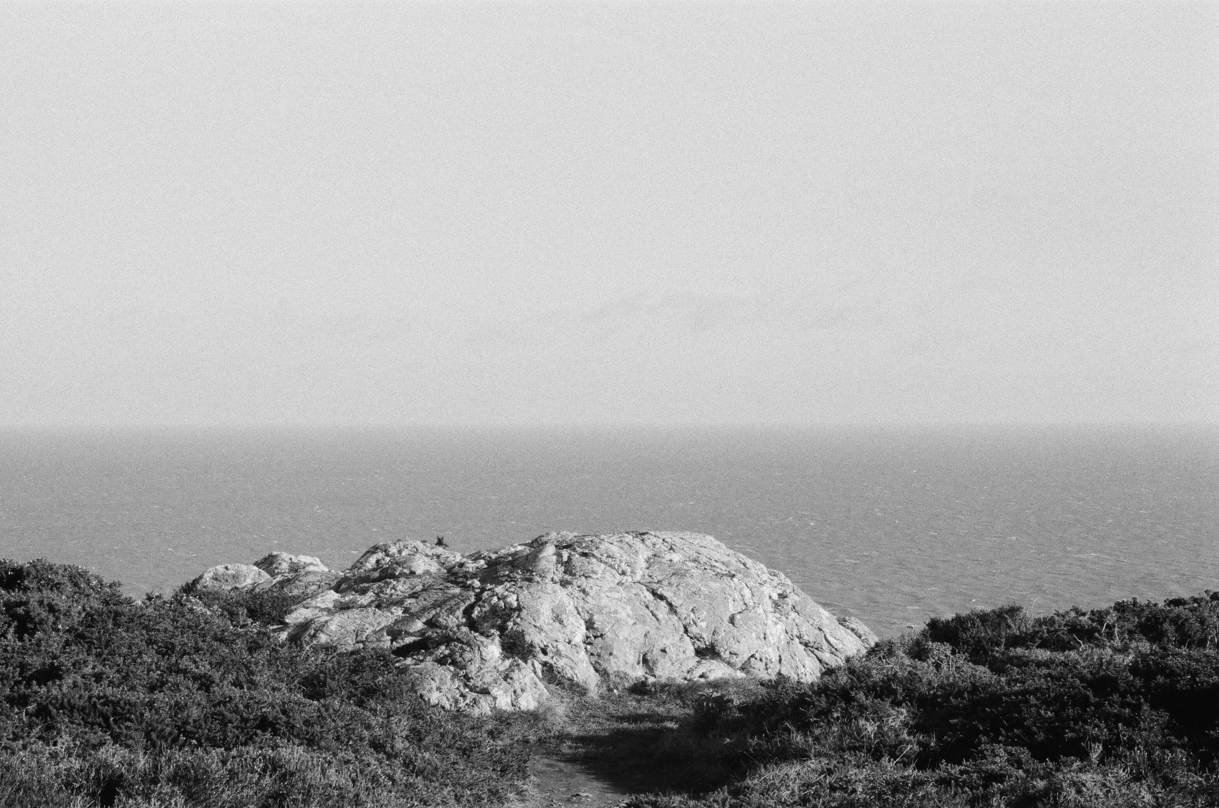 islander