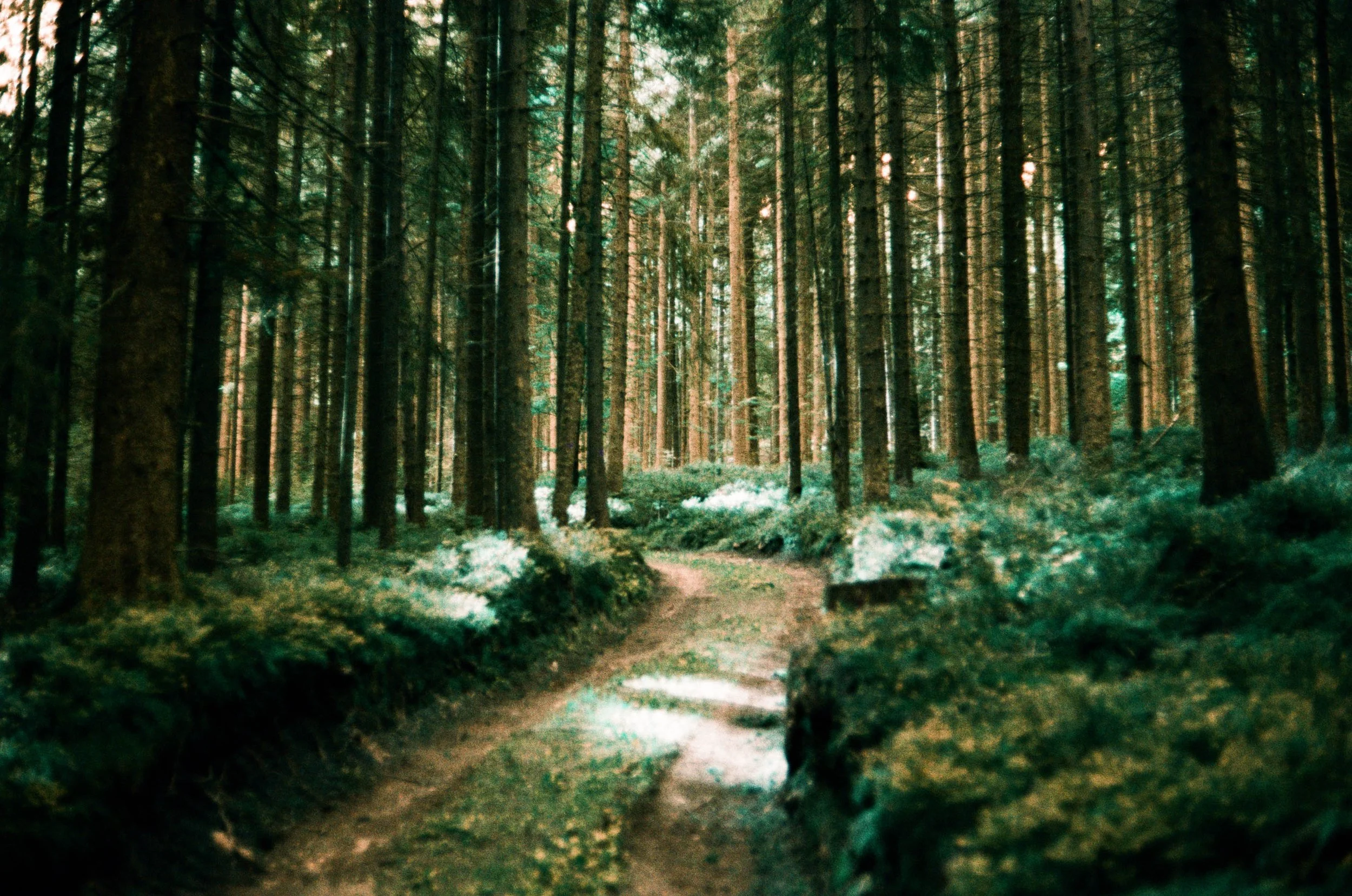 lukasmichaelreindl-somewhere-2025-windhing-12.jpg