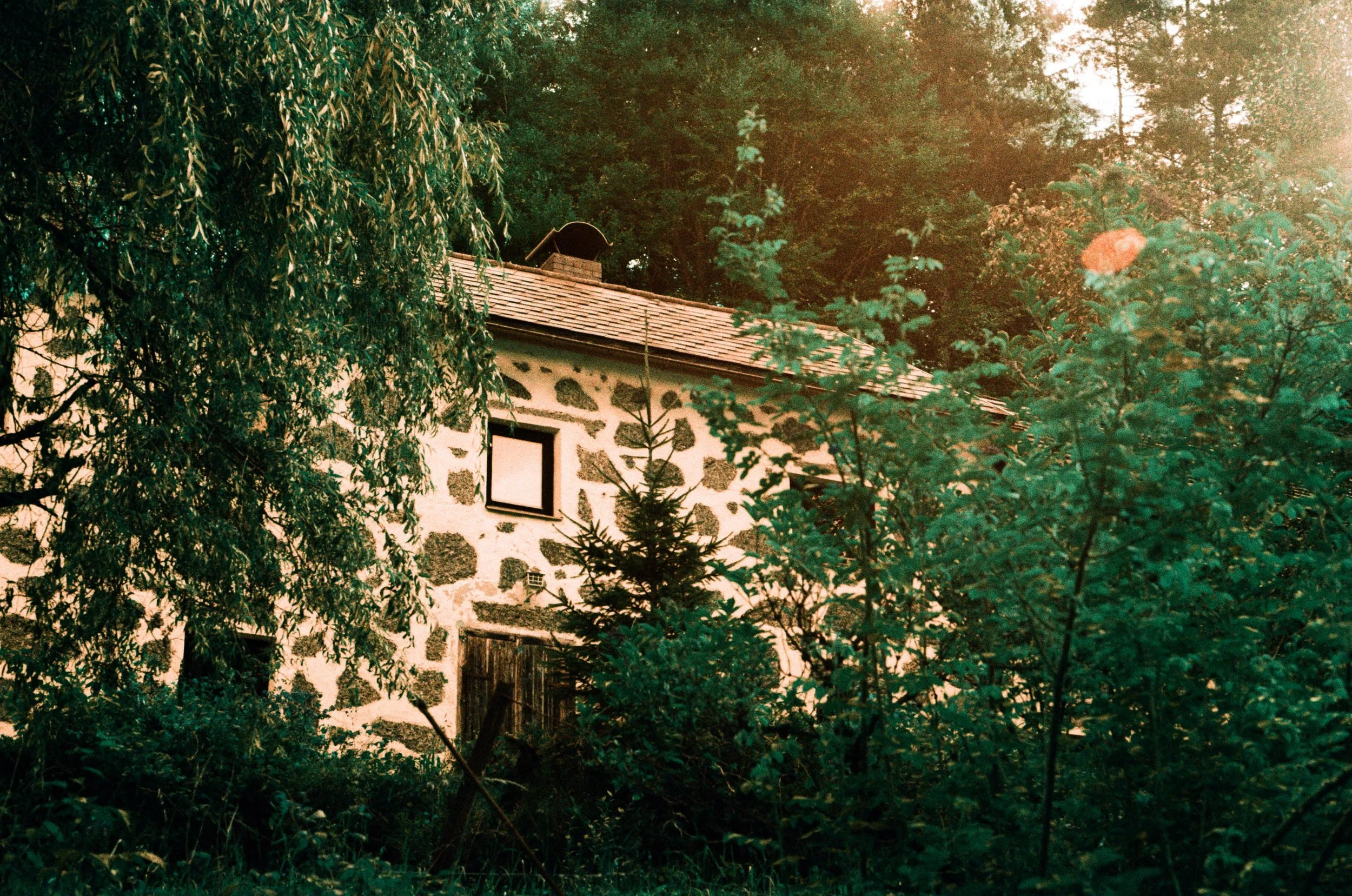 lukasmichaelreindl-somewhere-2025-windhing-30.jpg