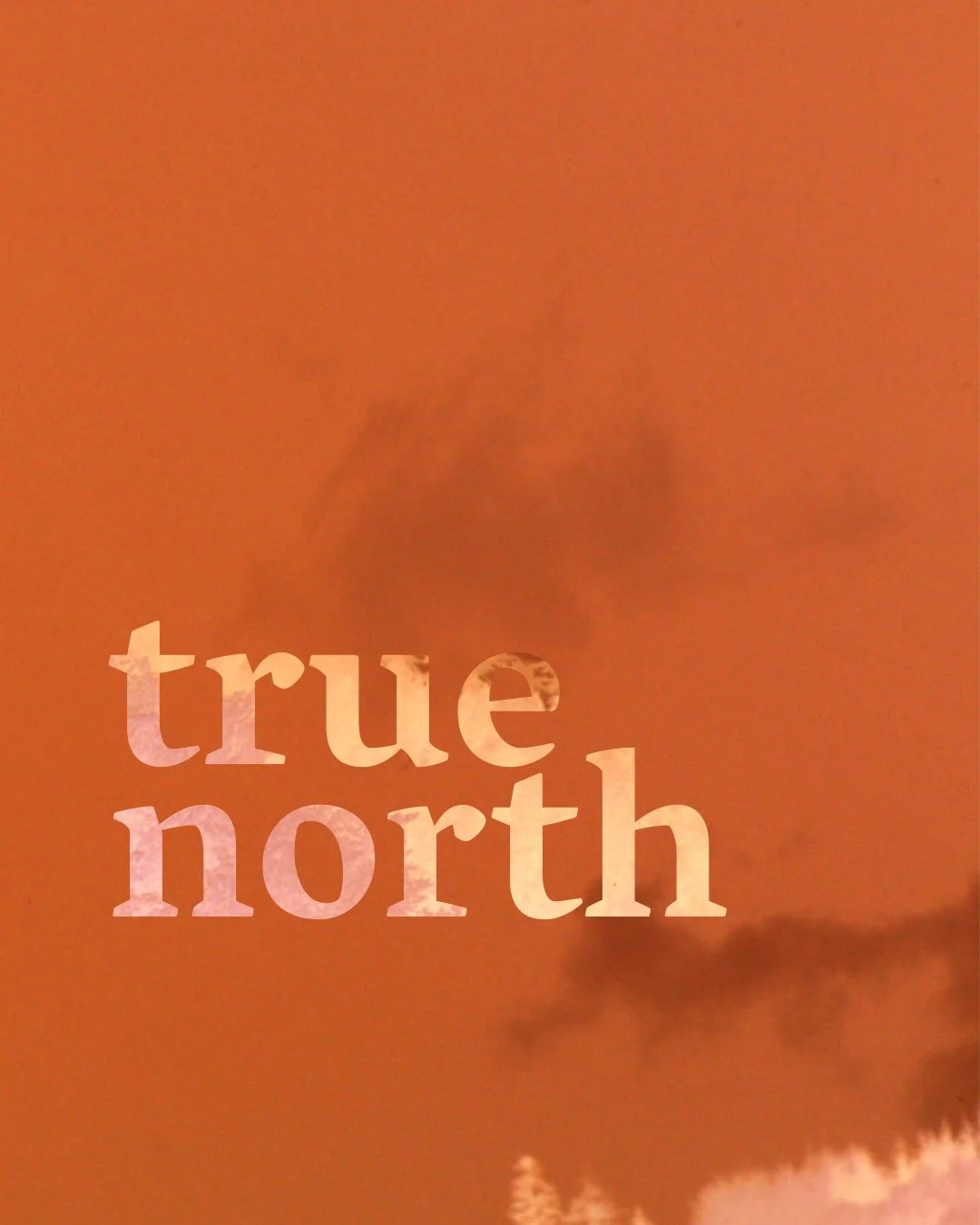 true-north-post-1-1.jpg