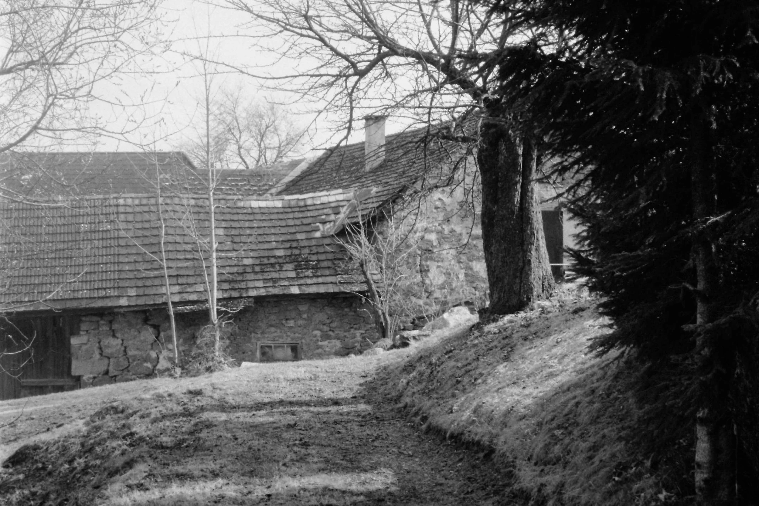 Ein altes Haus mit einem Schornstein, umgeben von Bäumen ohne Blätter, mit einer unbefestigten Erde vor dem Haus im Vordergrund.