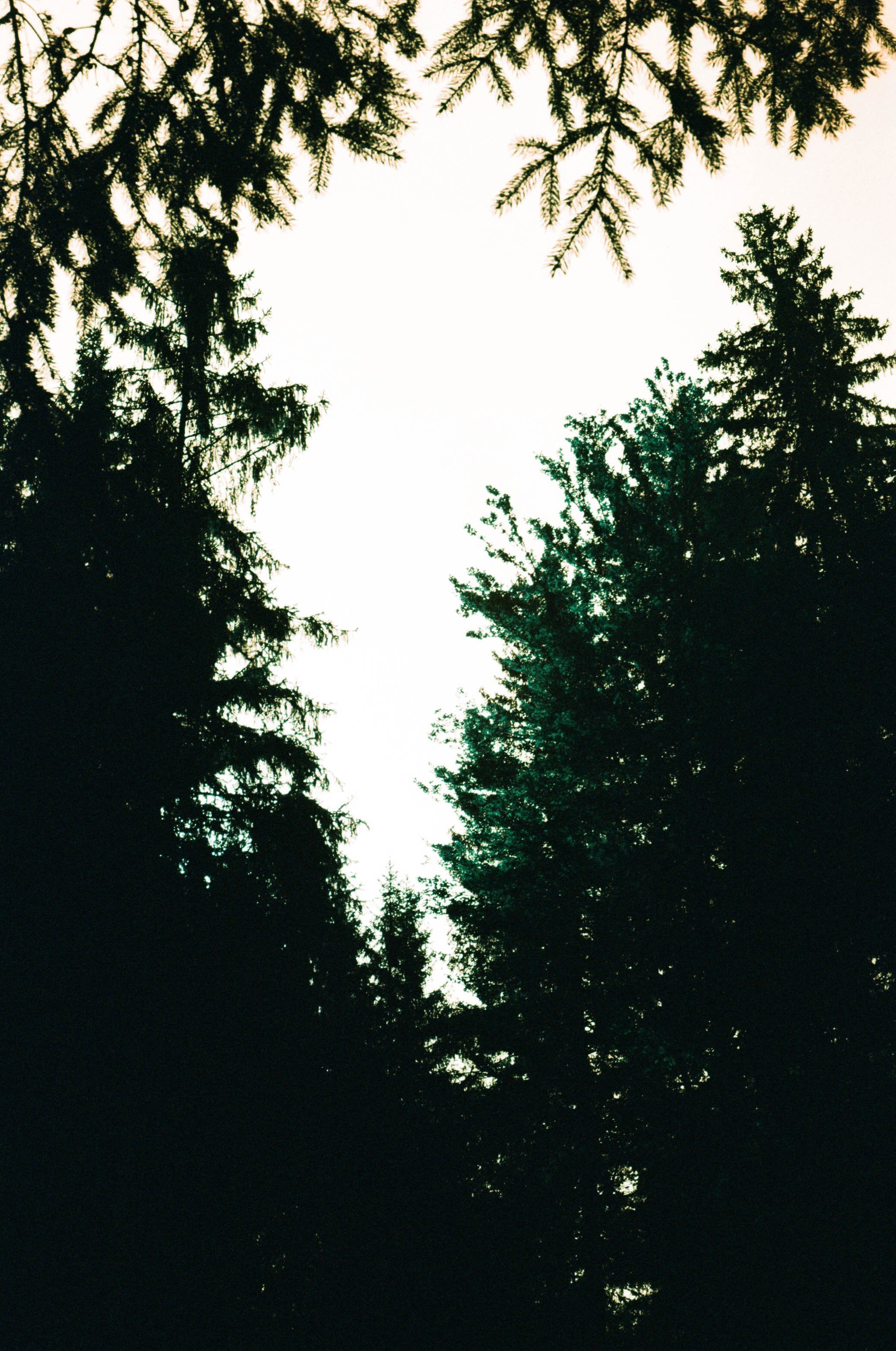 lukasmichaelreindl-somewhere-2025-windhing-19.jpg