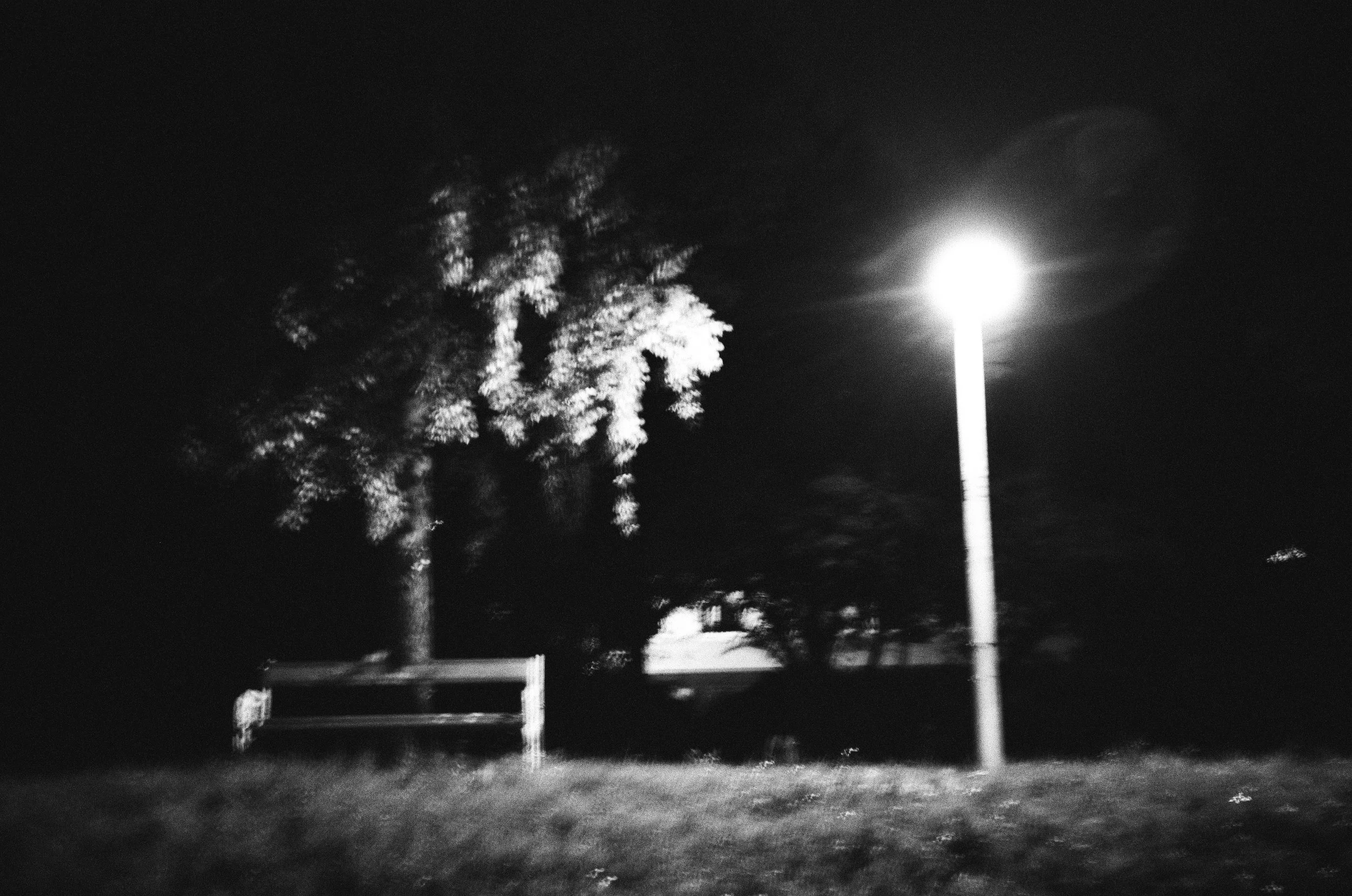 Schwarzes und weißes Foto eines hell erleuchteten Laternenpfostens bei Nacht, links Baum mit blättern, im Hintergrund dunkler Himmel.