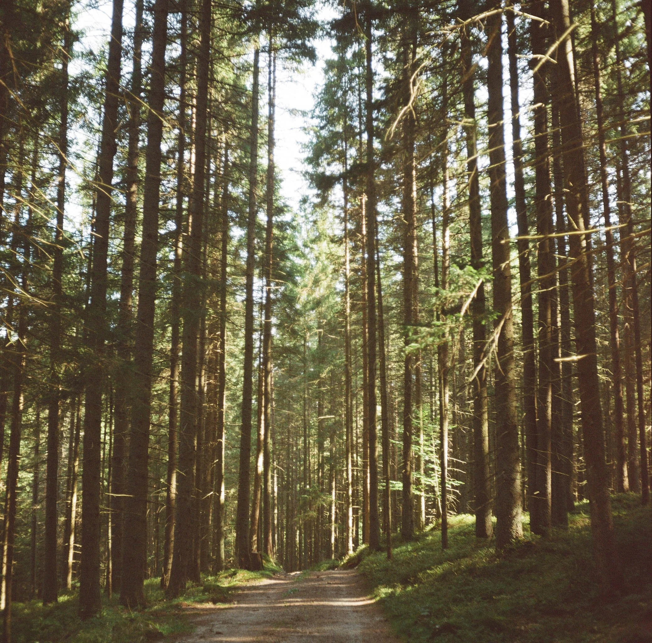 lukasmichaelreindl-somewhere-2025-windhing-8.jpg