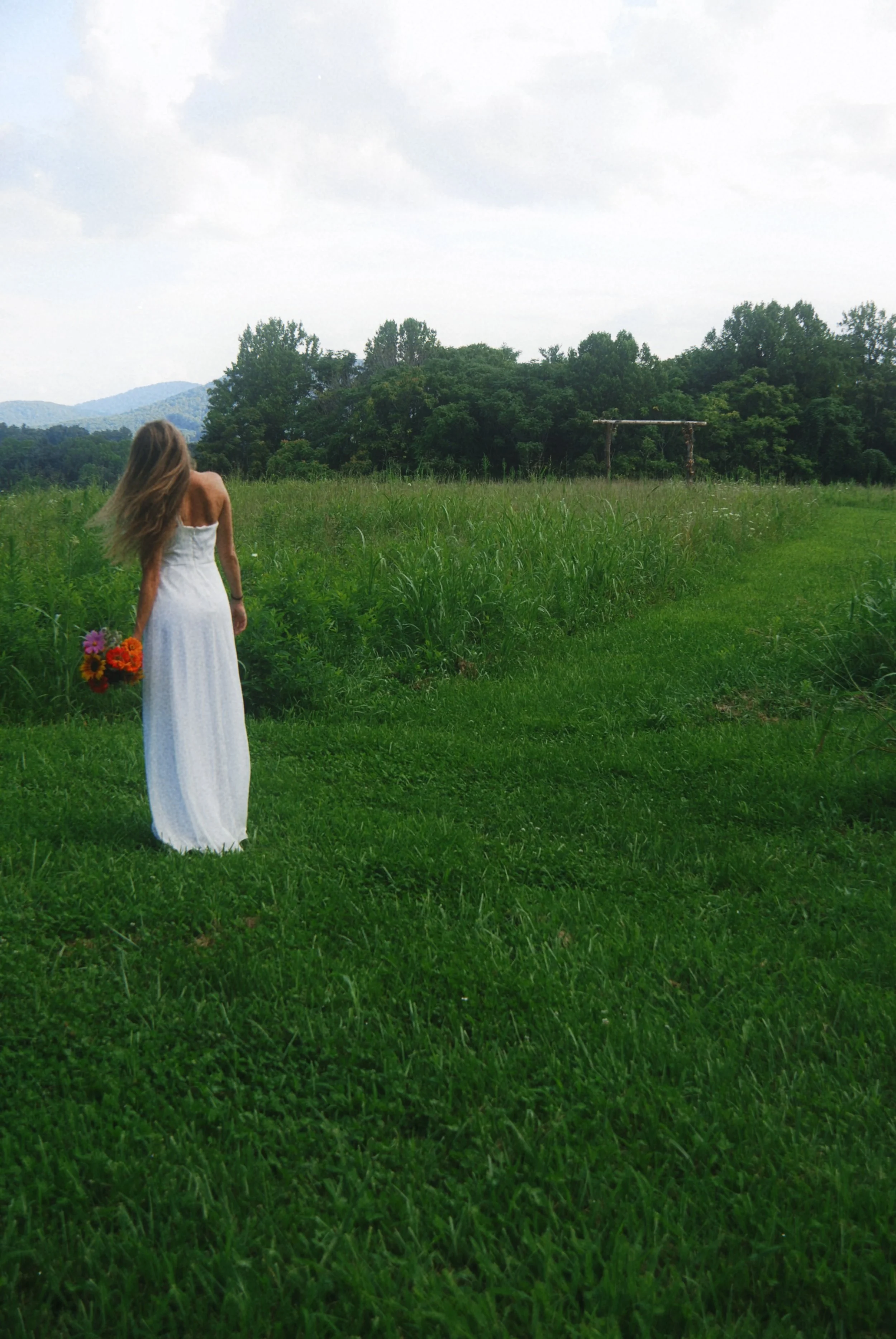 Micro Weddings Virginia