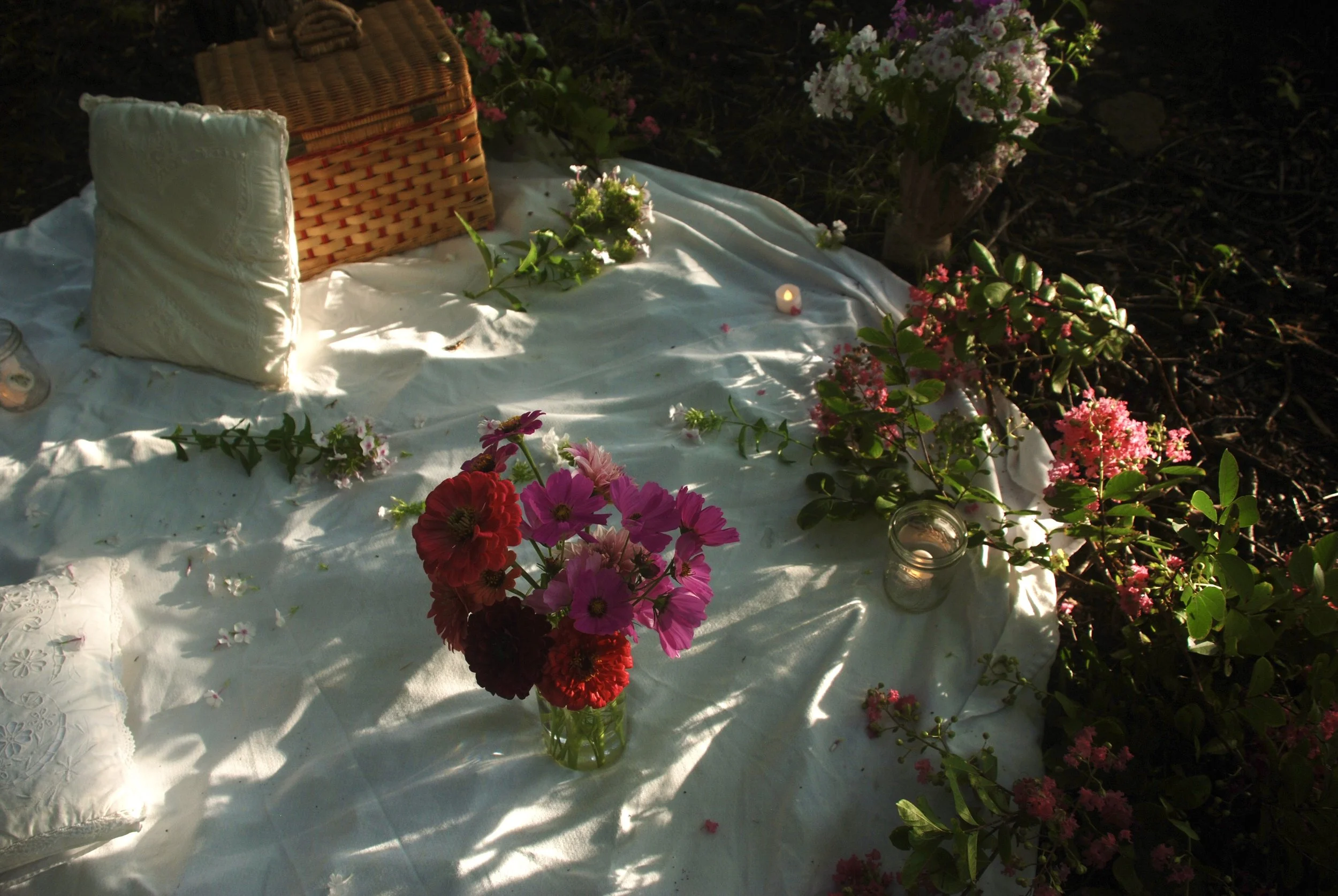 Wedding Proposal Services Virginia