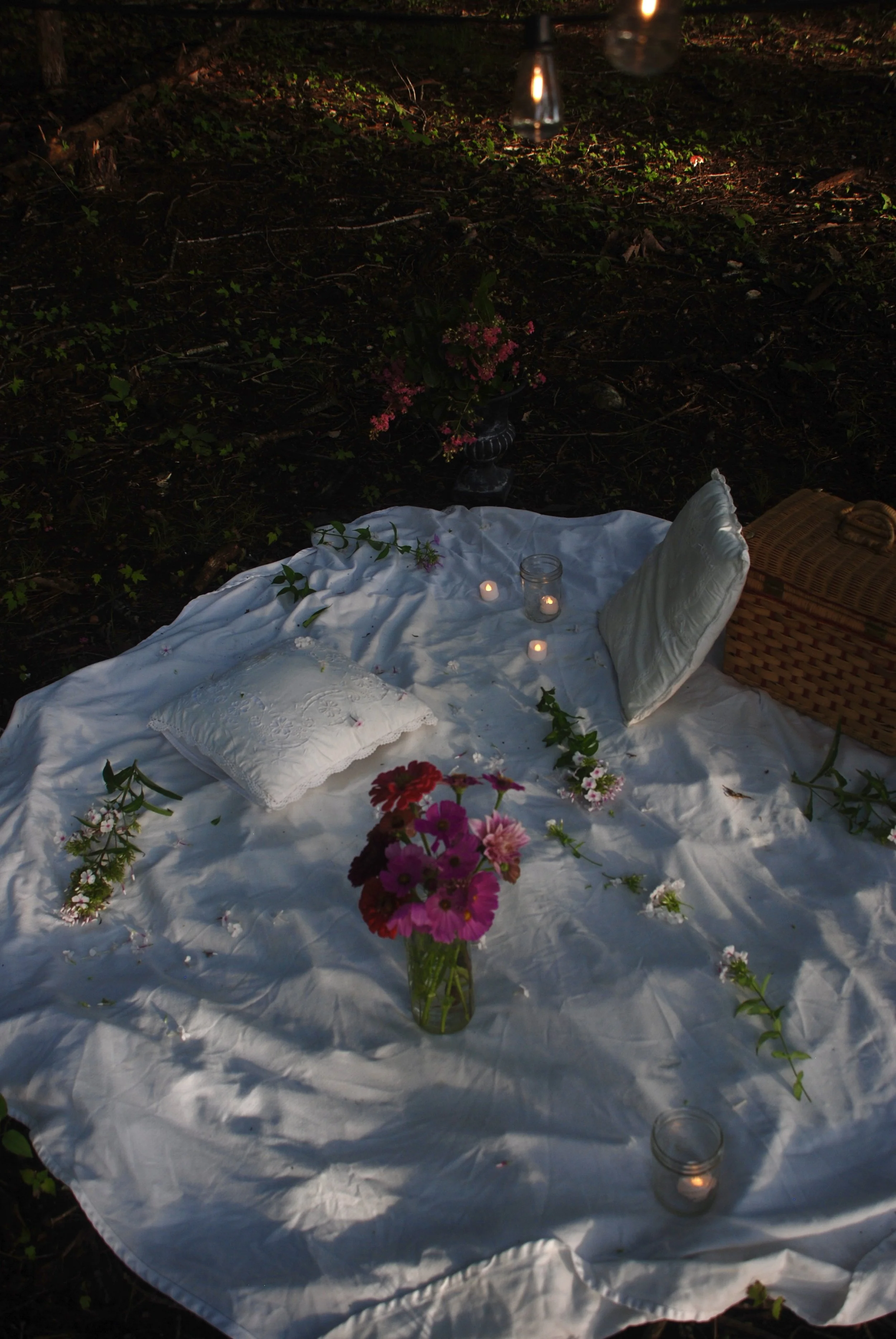 Special Occasions Picnic Service Virginia 