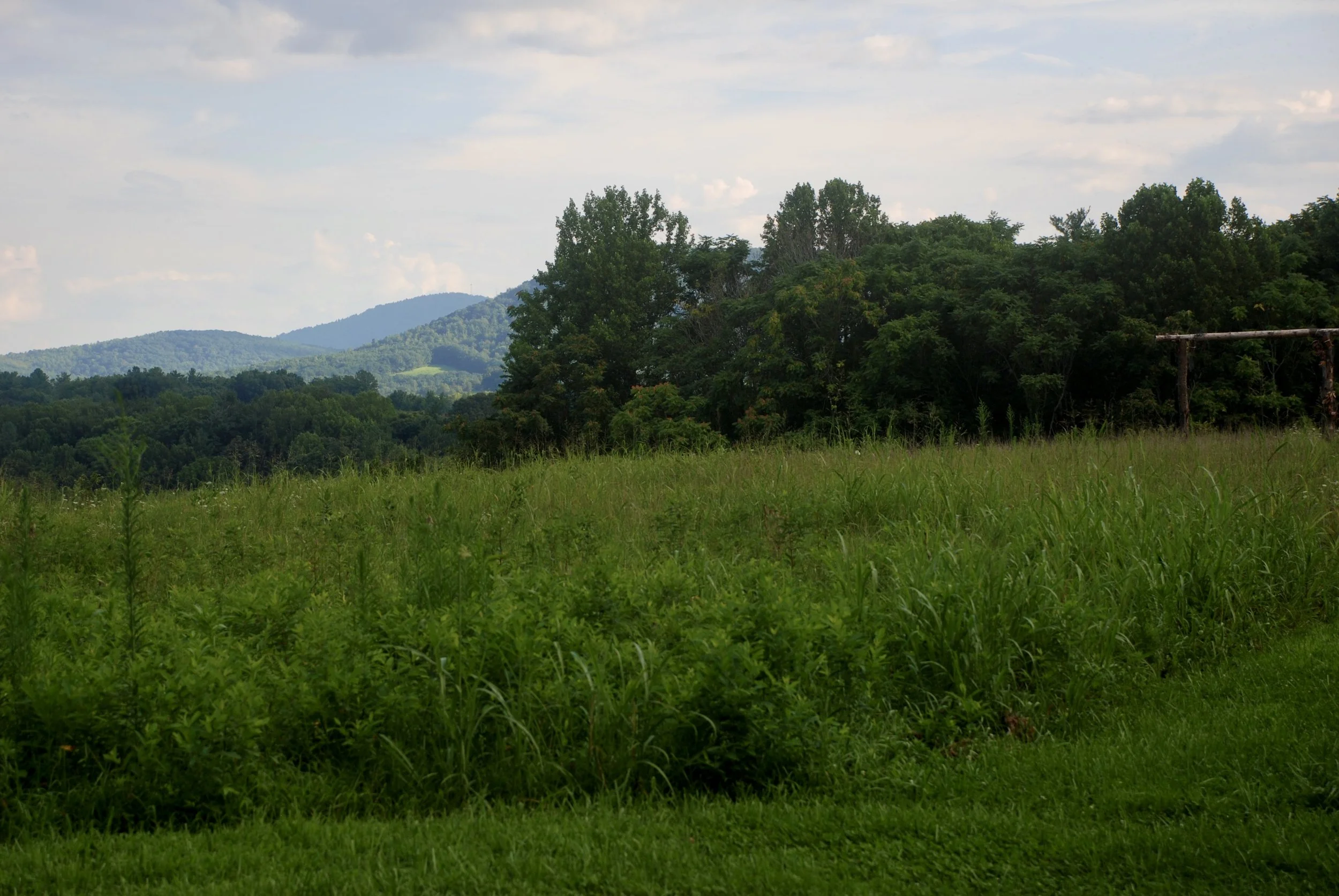 Elopement Spots Blue Ridge Mountains