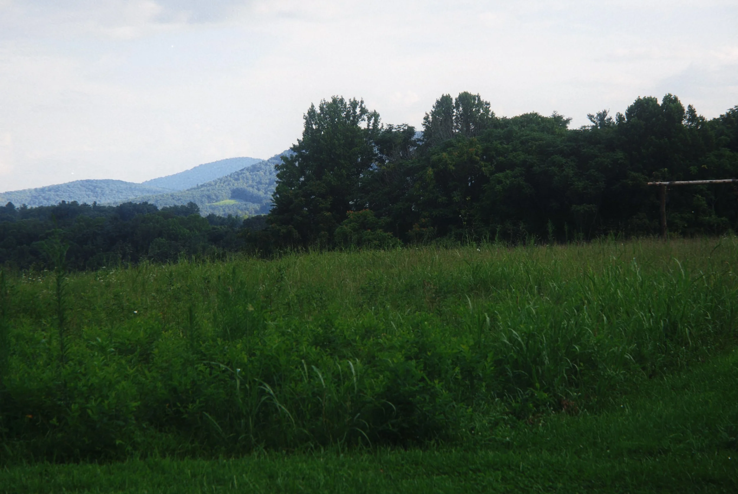 Blue ridge Weddings 