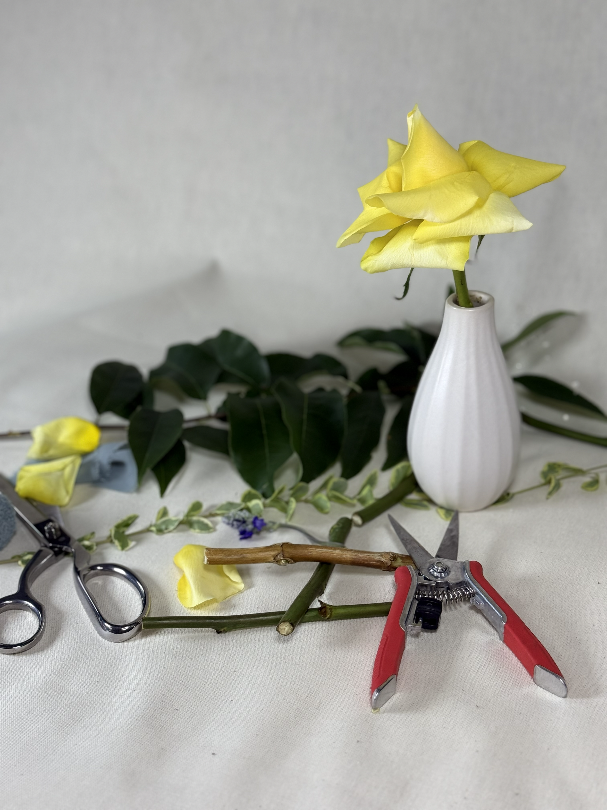 A yellow rose in a white vase, surrounded by green leaves and yellow flower petals on a table with flower arranging tools and ribbons.