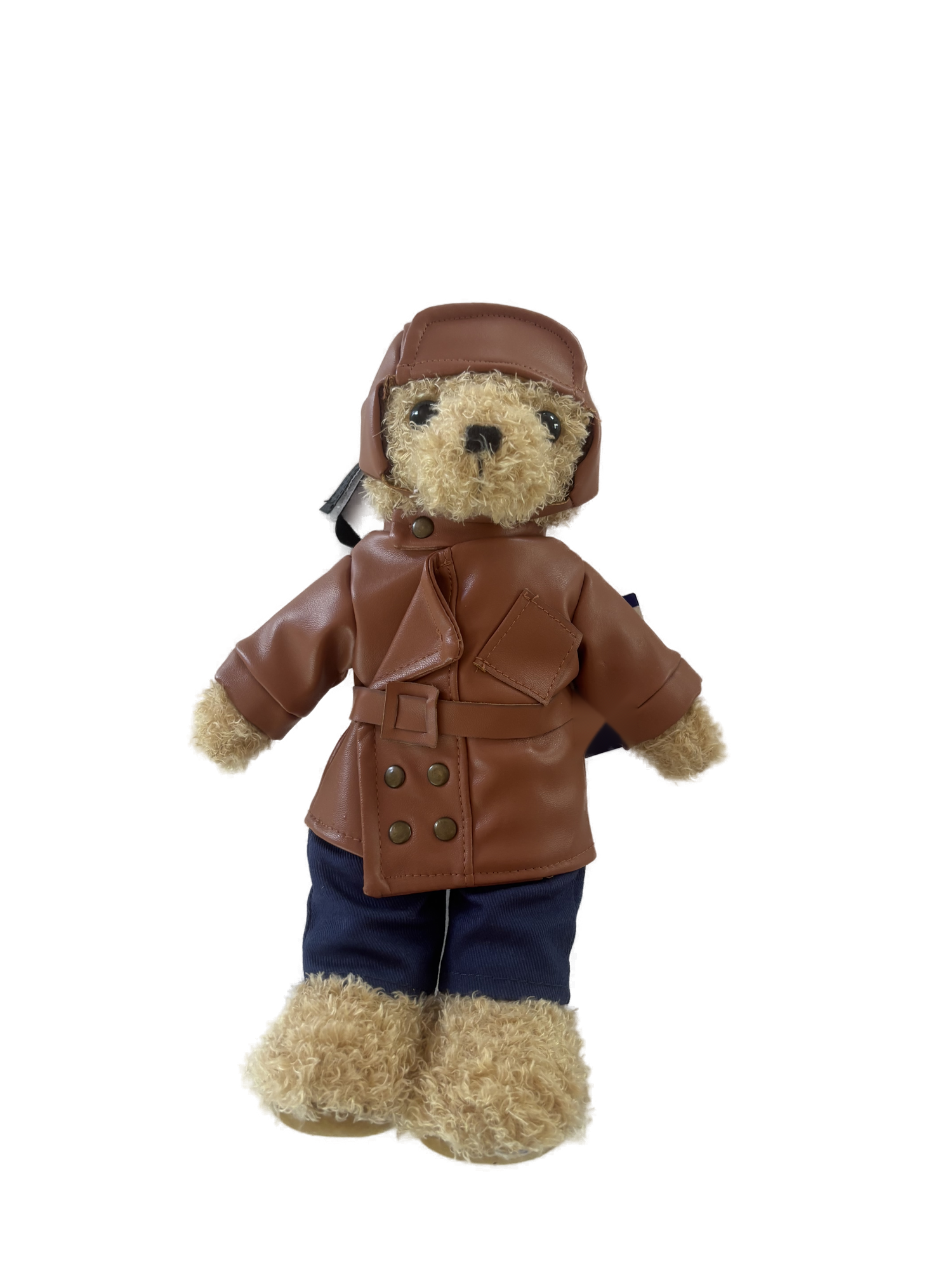 Centenary Air Force Bear
