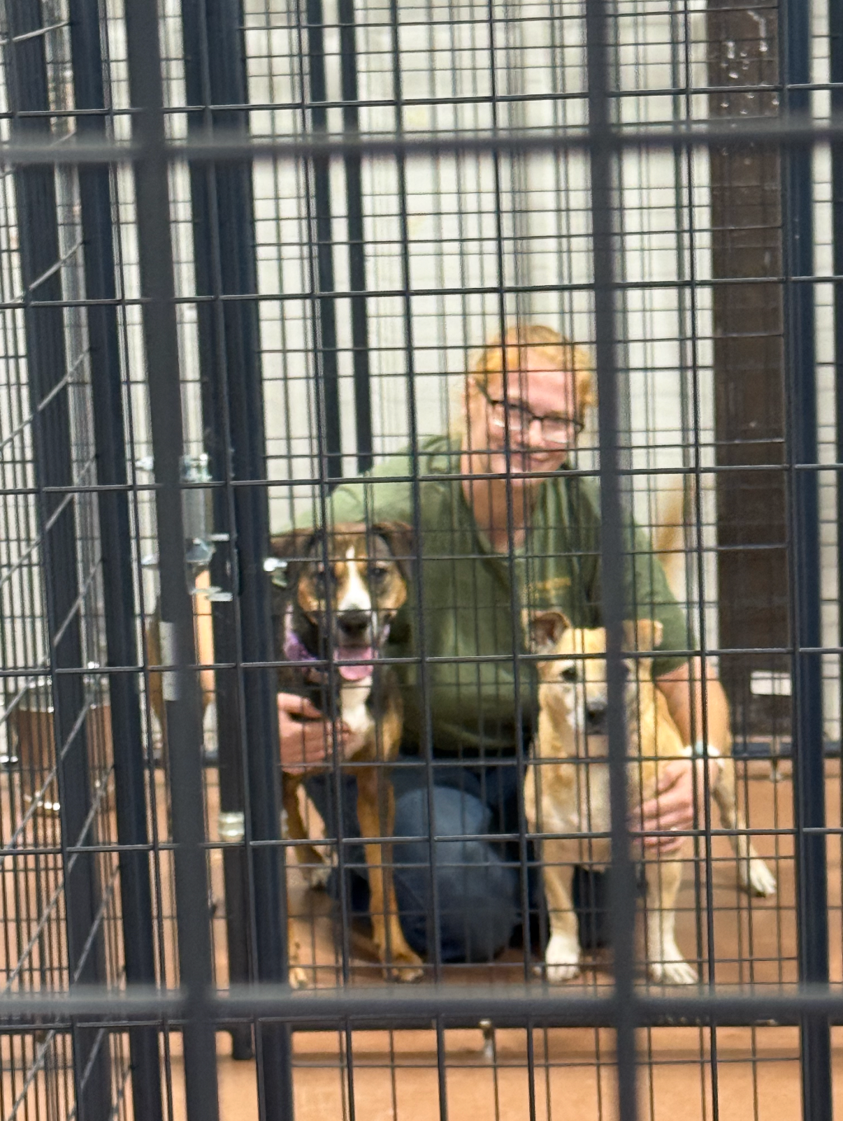 Savannah Clark, Lead Animal Care Technician at Northwoods K9 Club, caring for two dogs.