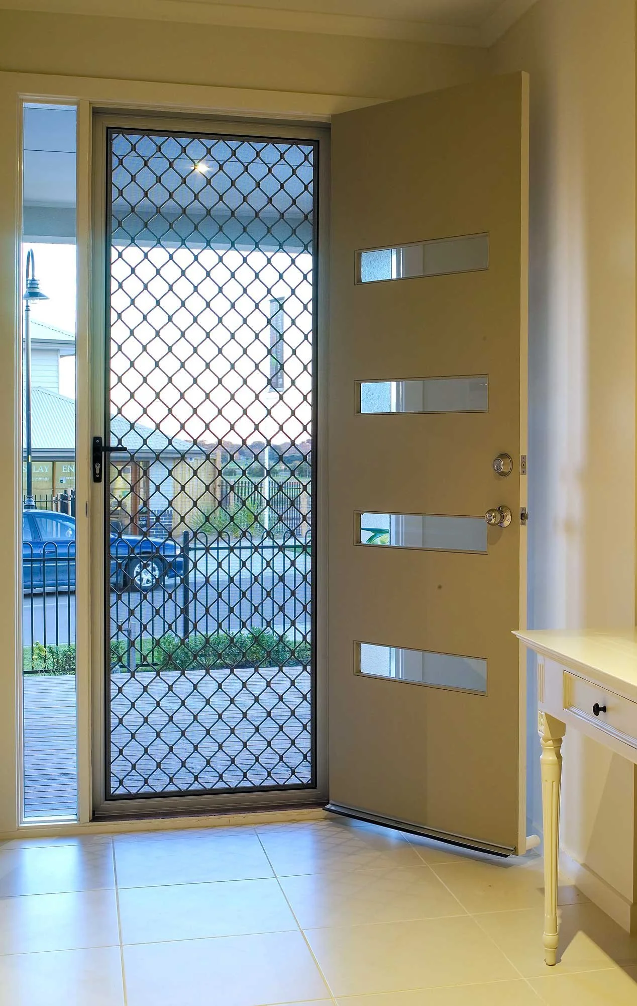 Homesafe Pointer Door