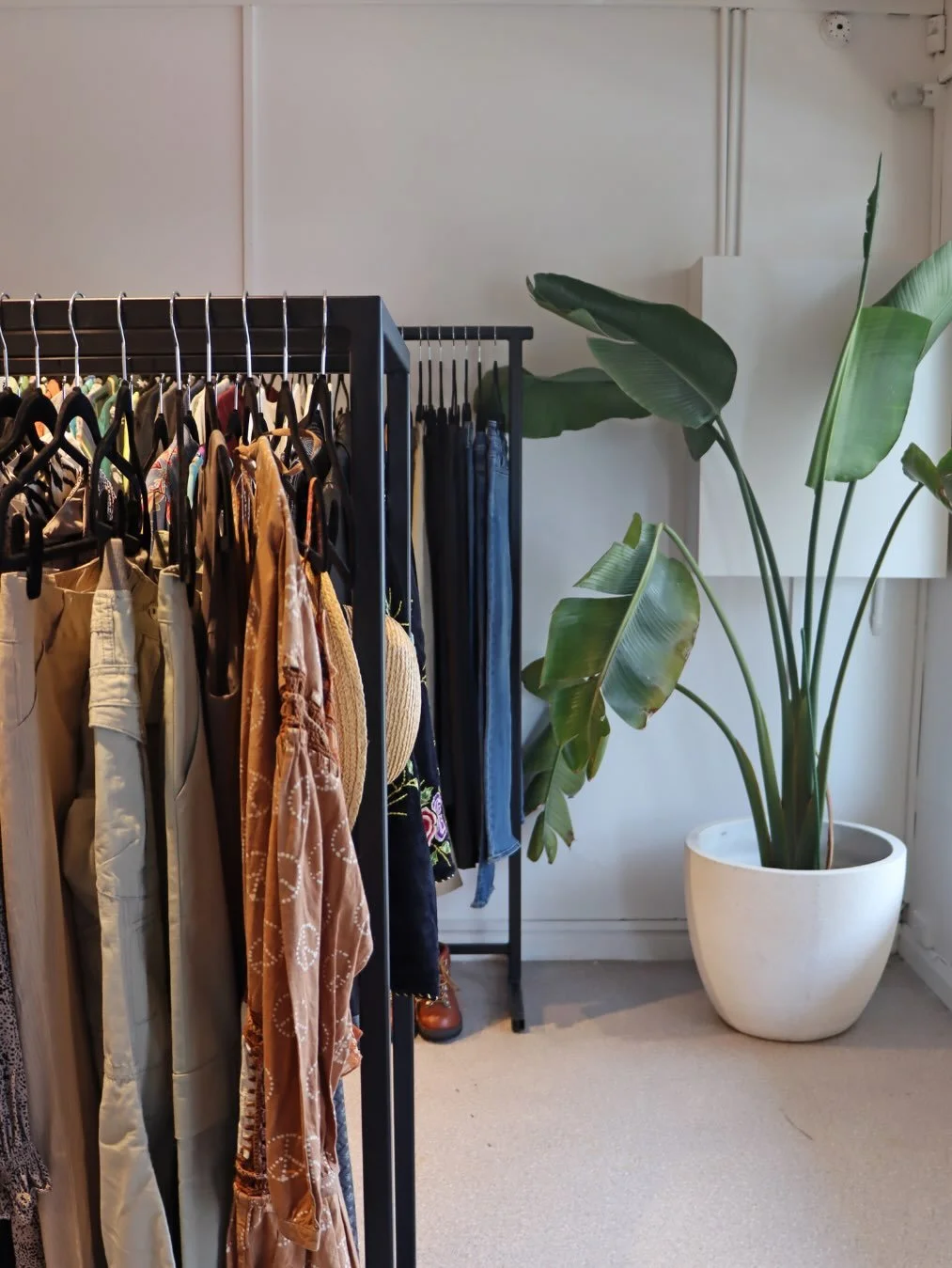 Clothing rack with various garments next to a tall green plant in a white pot inside a room.