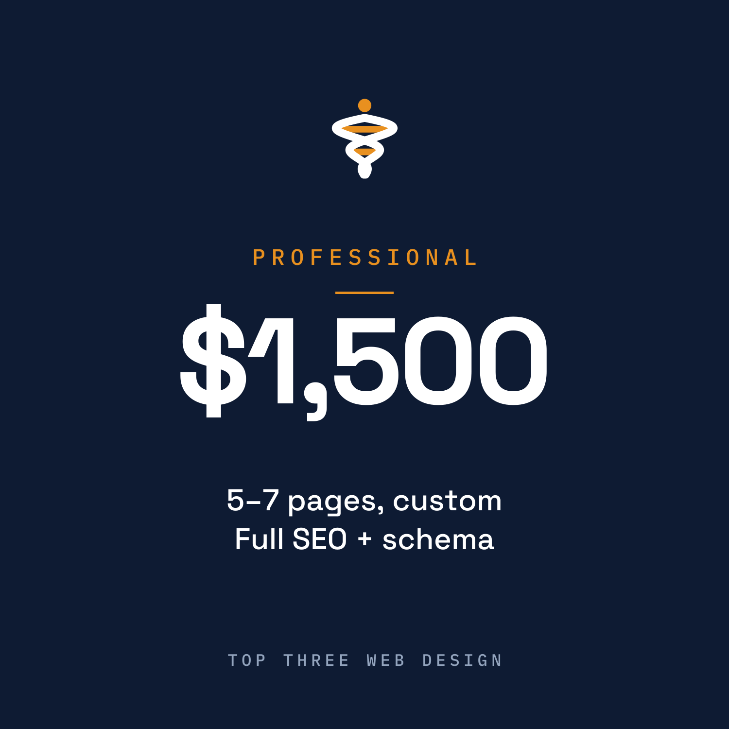 Professional Web Design — 5–7 Pages, Vero Beach & Treasure Coast