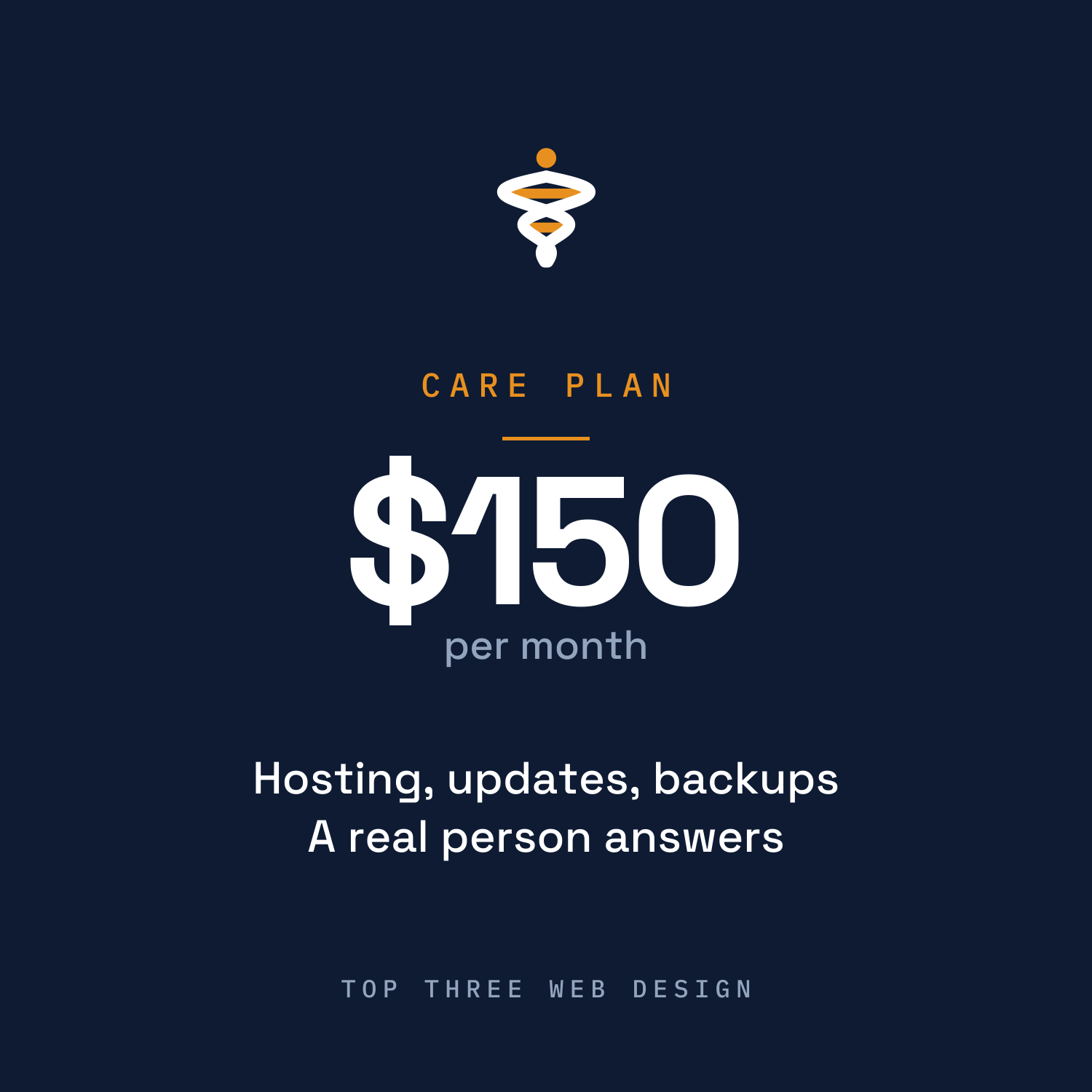 Care Plan — Website Hosting, Updates & Support, Treasure Coast