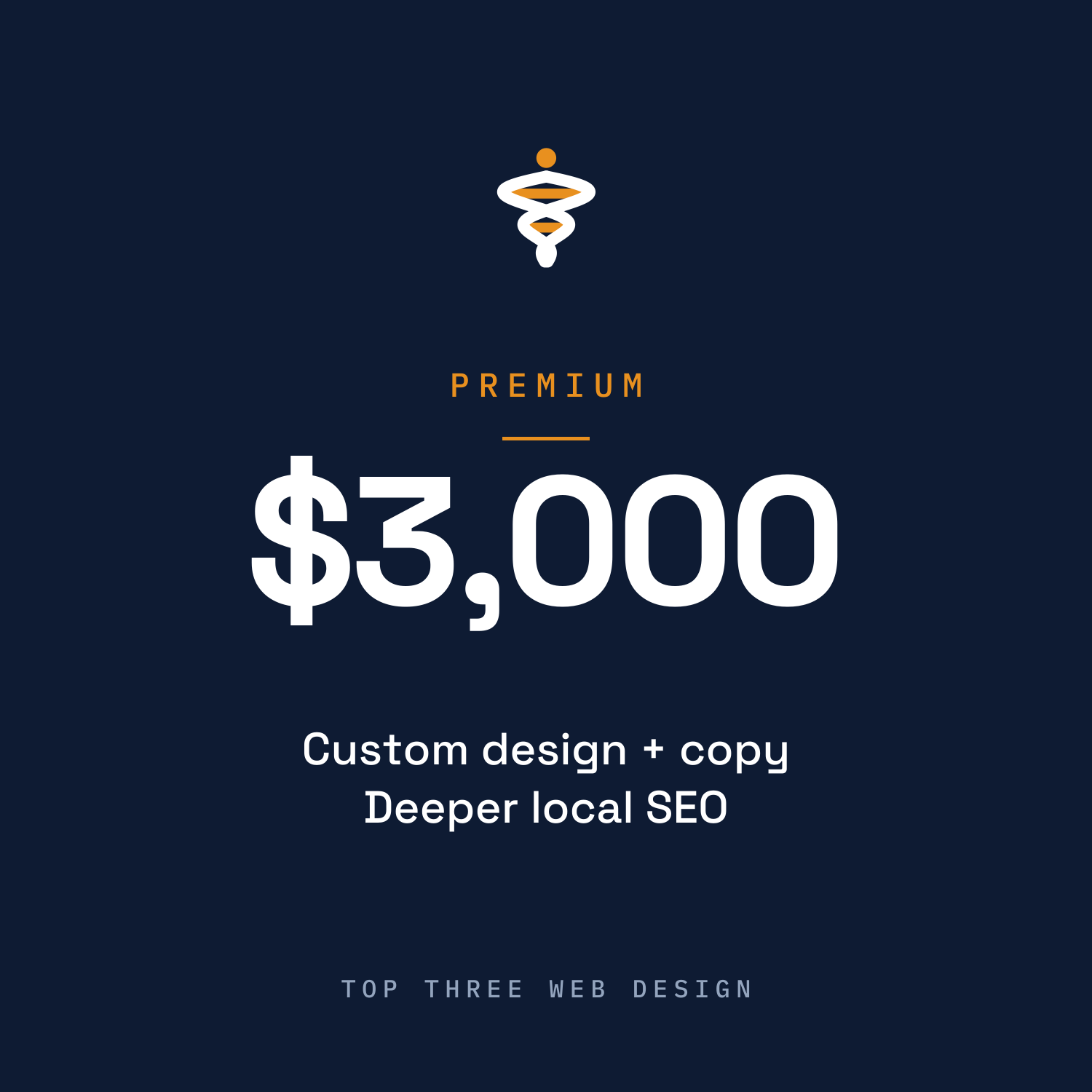 Premium Web Design — Custom Build with Copywriting, Treasure Coast