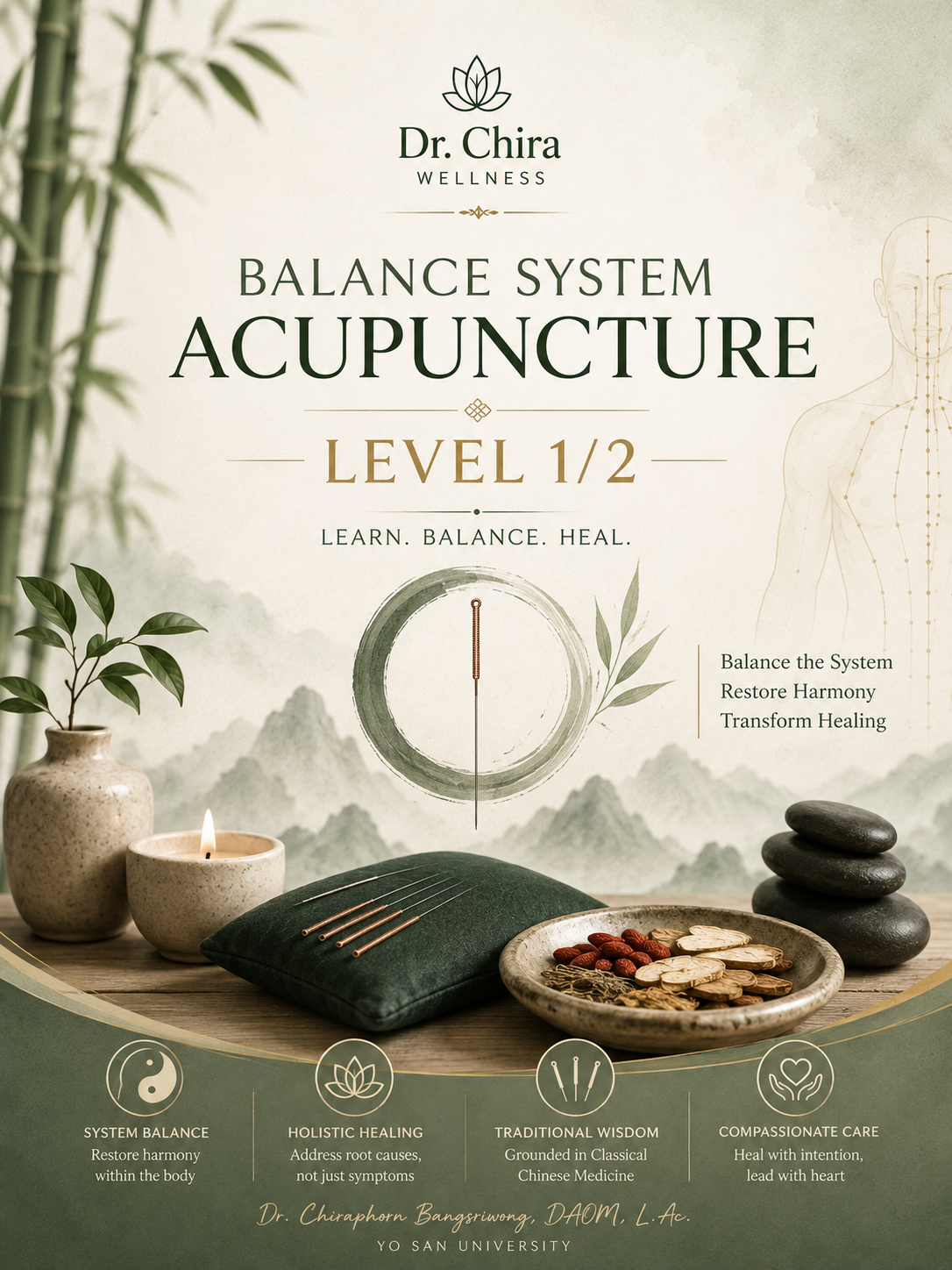 Balance system Acupuncture level 1/2