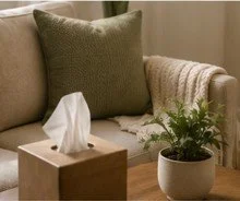 A tissue box and a potted plant on a wooden table in front of a sofa with a green cushion.