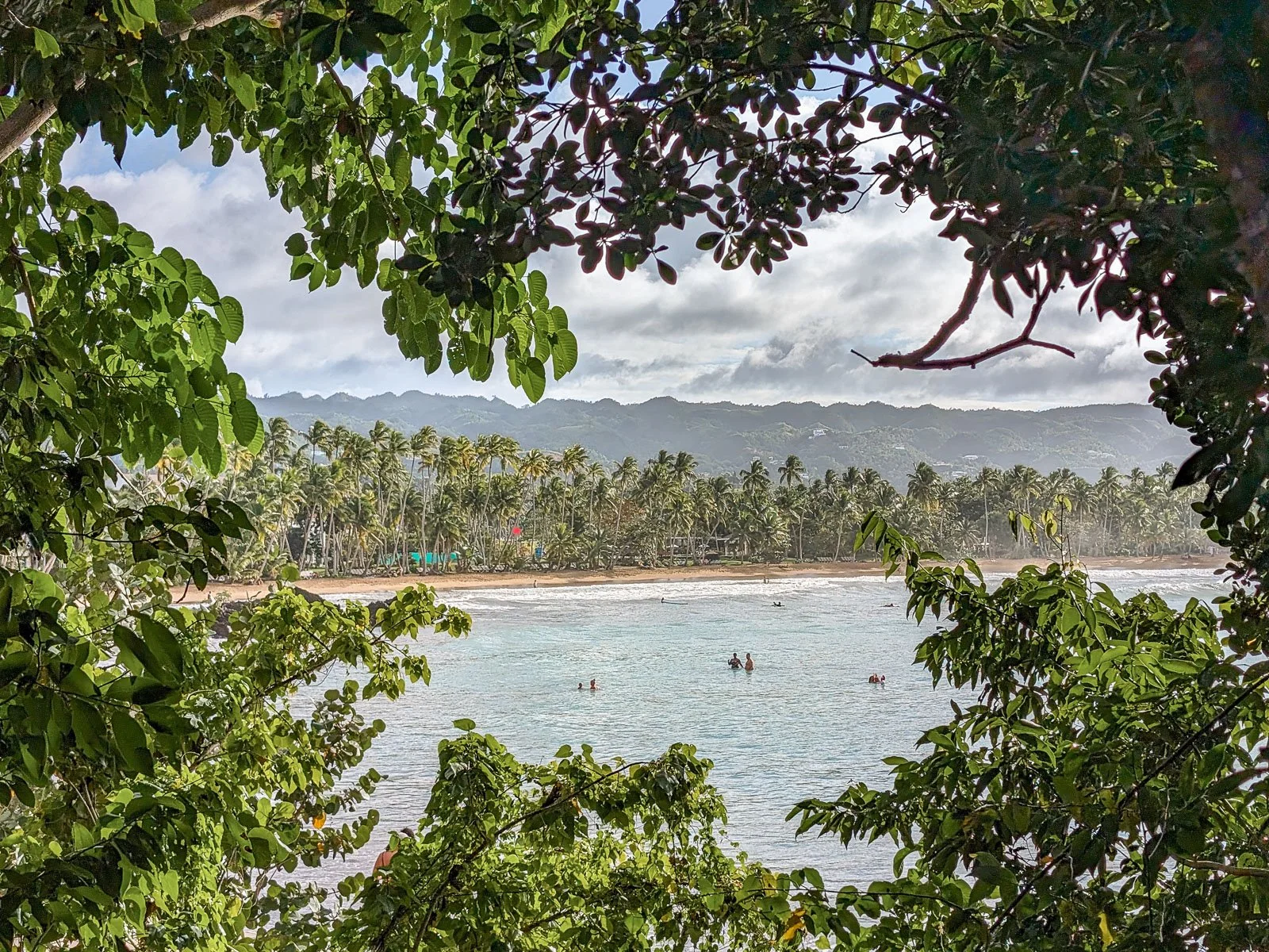 2026-Planeta Humano-Las Terrenas Republica Dominicana.jpg