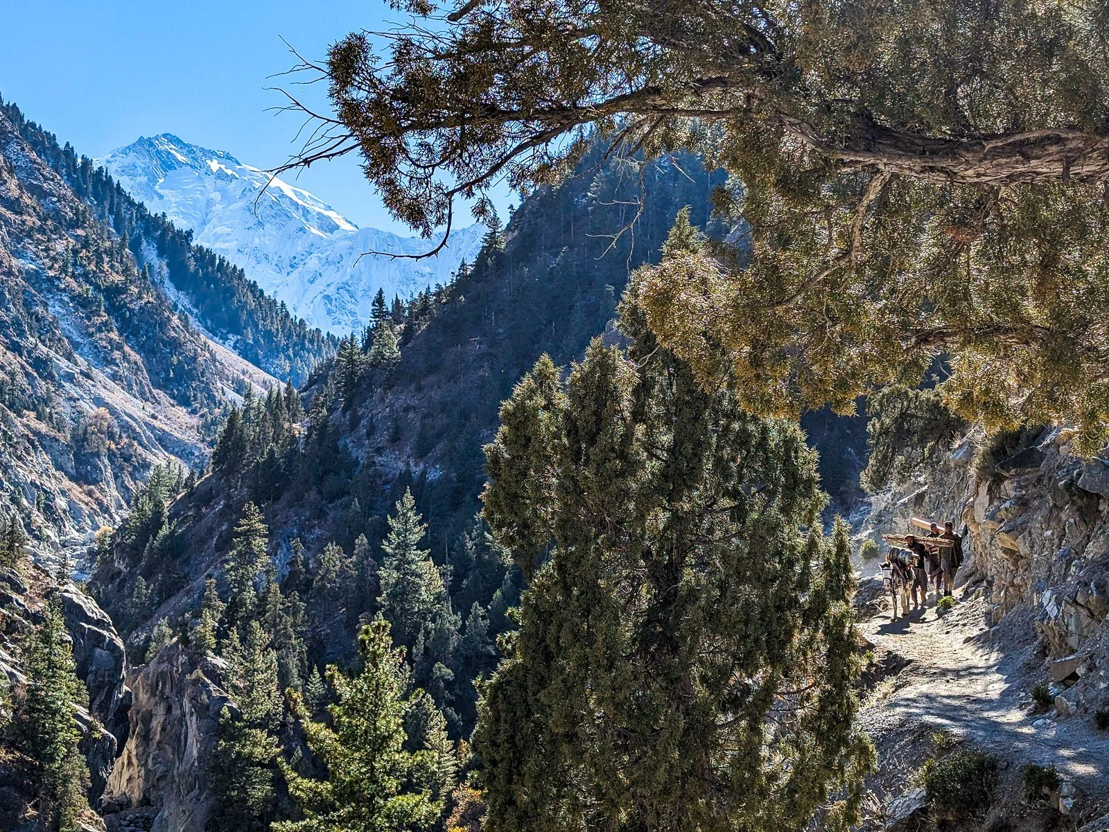 2026-Planeta Humano- Fairy Meadows Pakistan.jpg