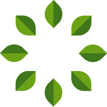 Logo of Verde, a fresh salad restaurant in Charleston SC, emphasizing wholesome, made-from-scratch vegan cuisine.