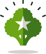 A vibrant green star on a tree, representing Verde's dedication to healthy eating in Charleston, SC