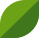 A fresh green leaf symbolizing the freshness of Verde's menu