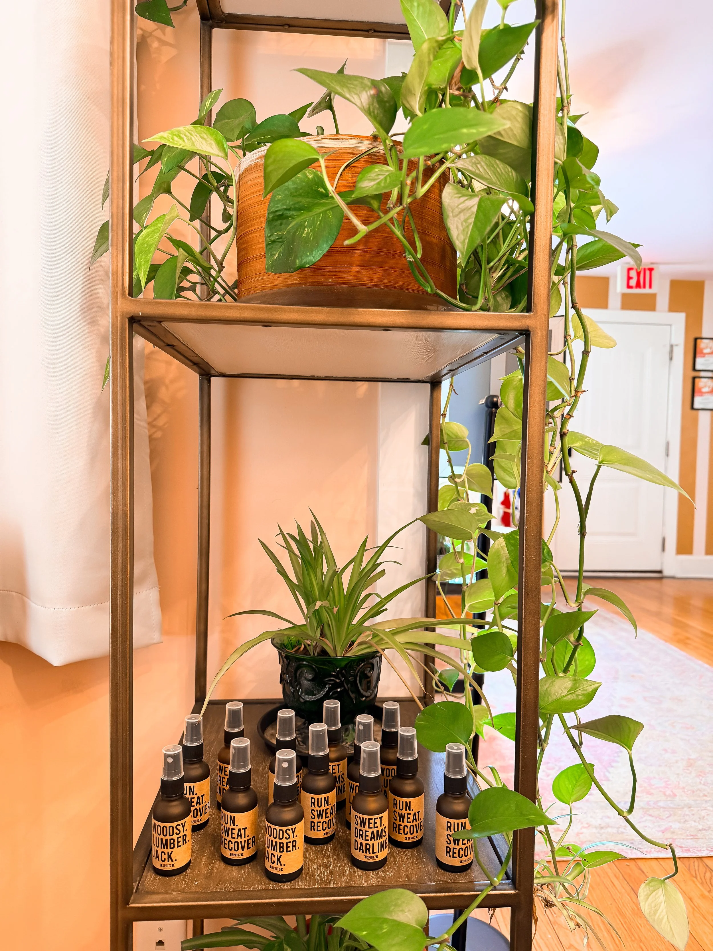An indoor shelf with a potted plant on the top shelf, and several bottles of spray or lotion with labels that say "Run Sweat Love" on the bottom shelf, in a room with hardwood flooring and a white door in the background.