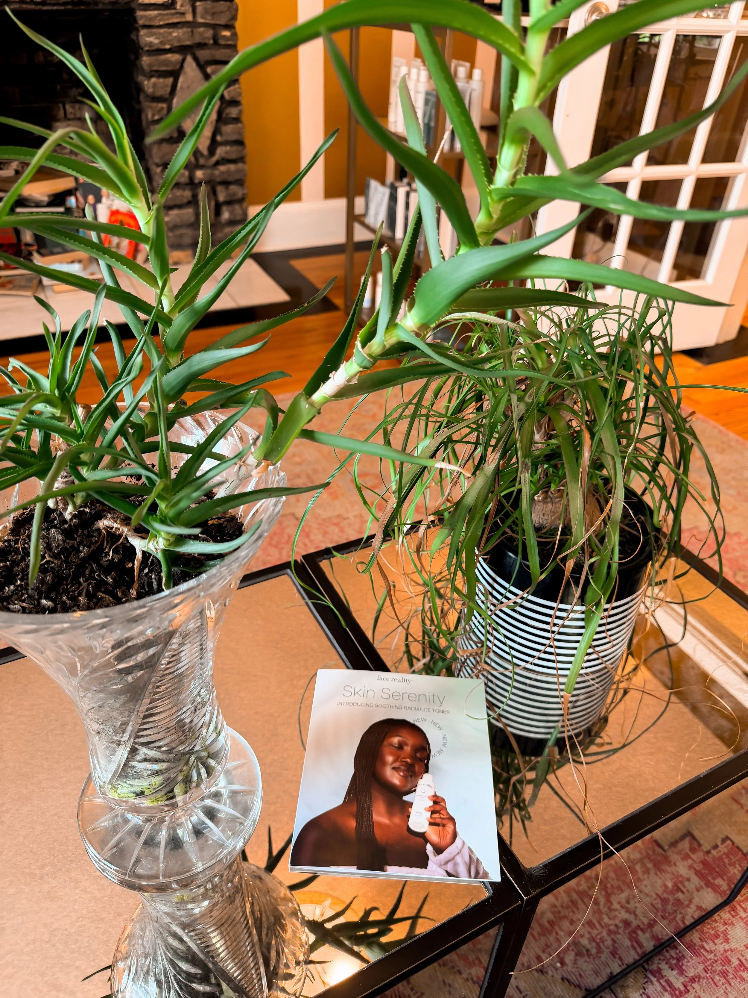 Indoor display of potted plants on a glass table, with promotional pamphlet for skincare product titled 'Skin Serenity' featuring a woman with dark skin holding a skincare device, in a decorated room with a fireplace and a wooden floor.