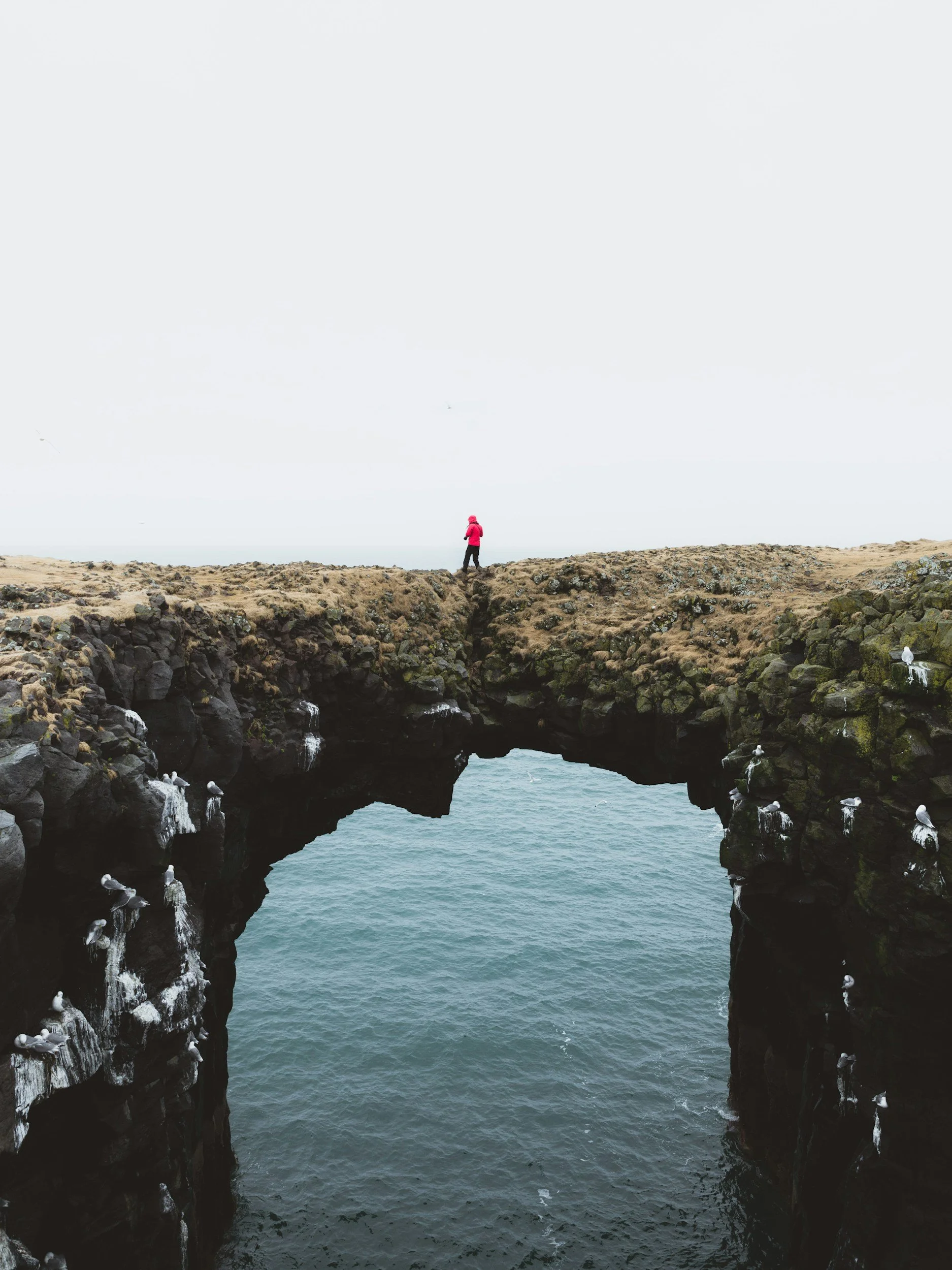 unsplash-image-roFUsopk65U.jpg