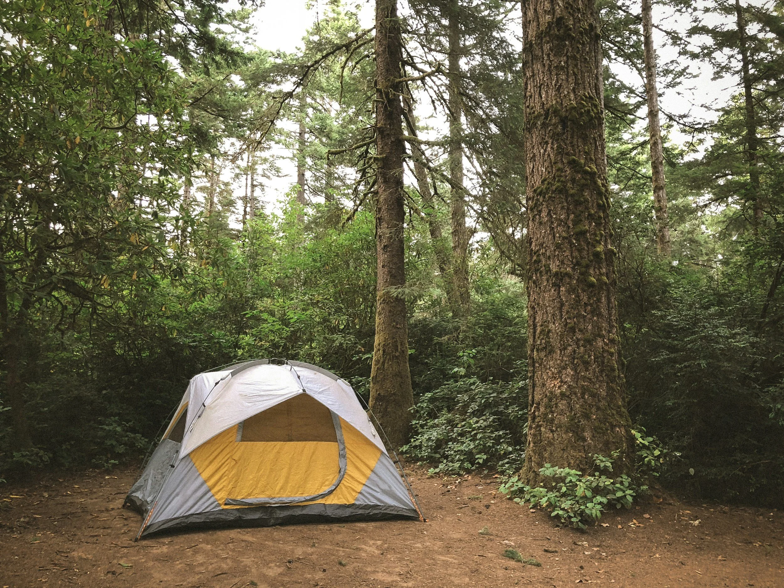 unsplash-image-klSYEa1Yh3c.jpg