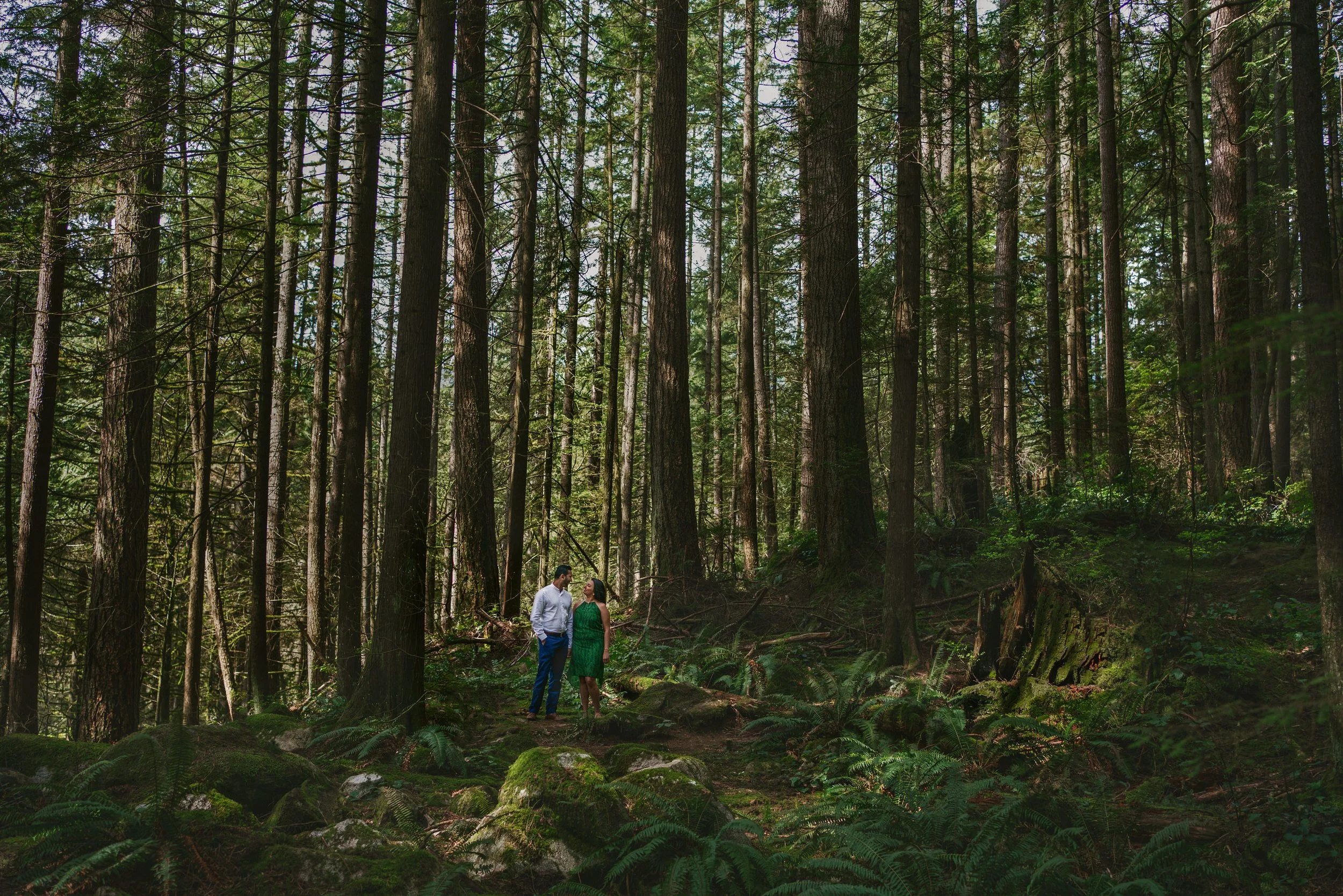 vancouver engagement photos8174.JPG