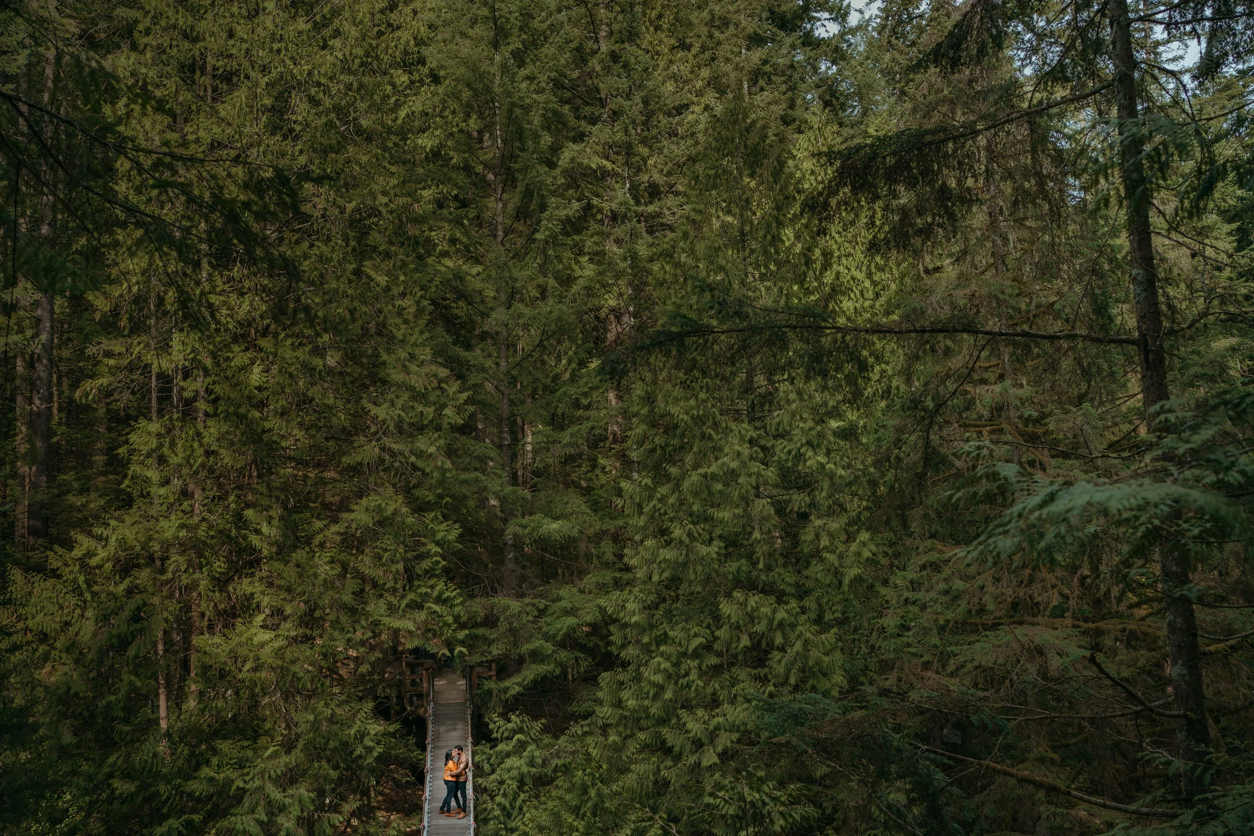 vancouver engagement photos8195.JPG