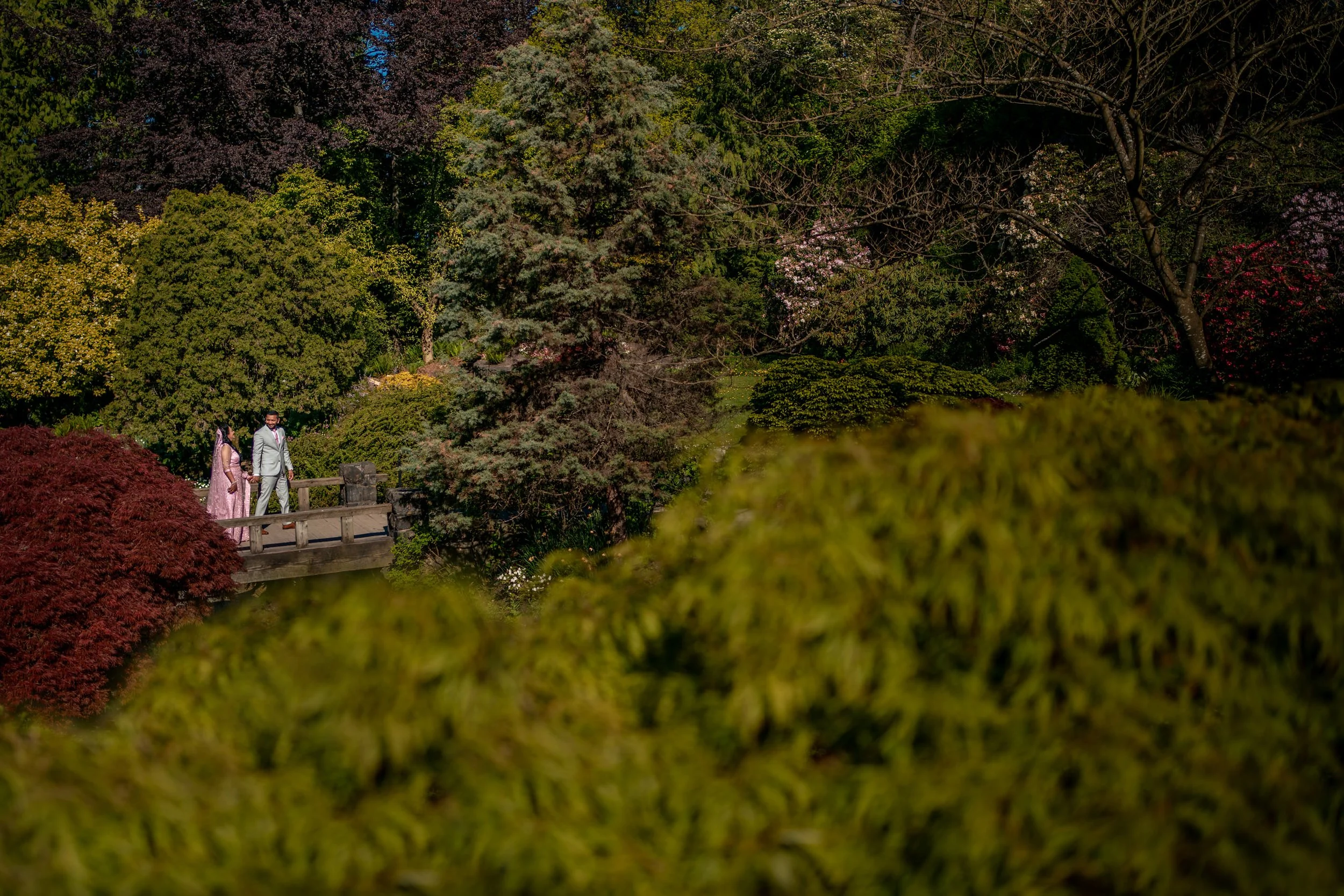 indian wedding photography surrey vancouver8264.JPG