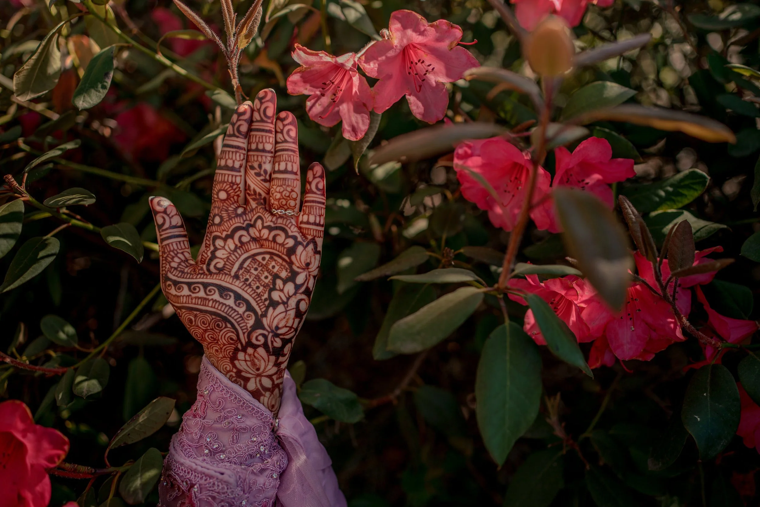 indian wedding photography surrey vancouver8256.JPG