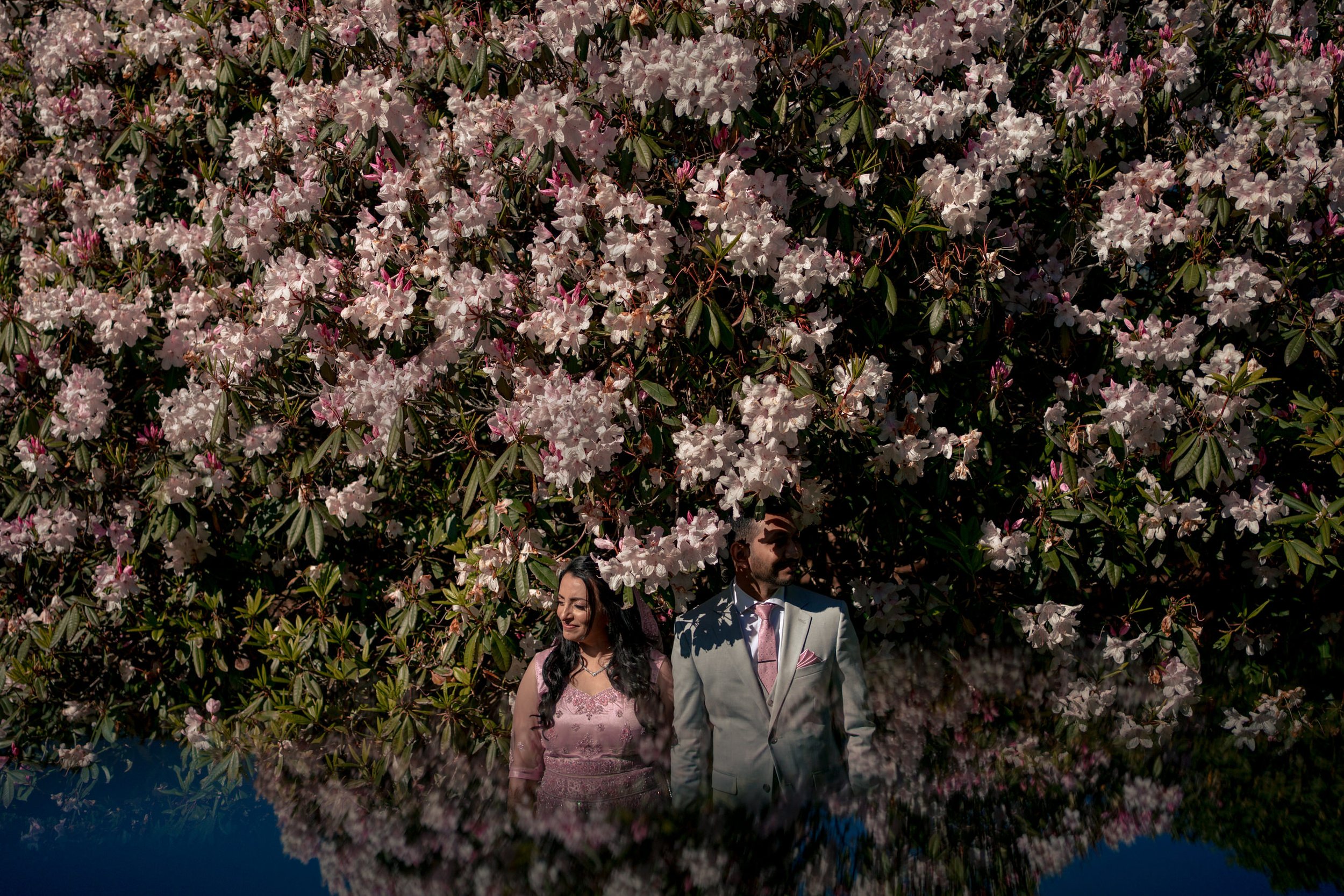 indian wedding photography surrey vancouver8258.JPG