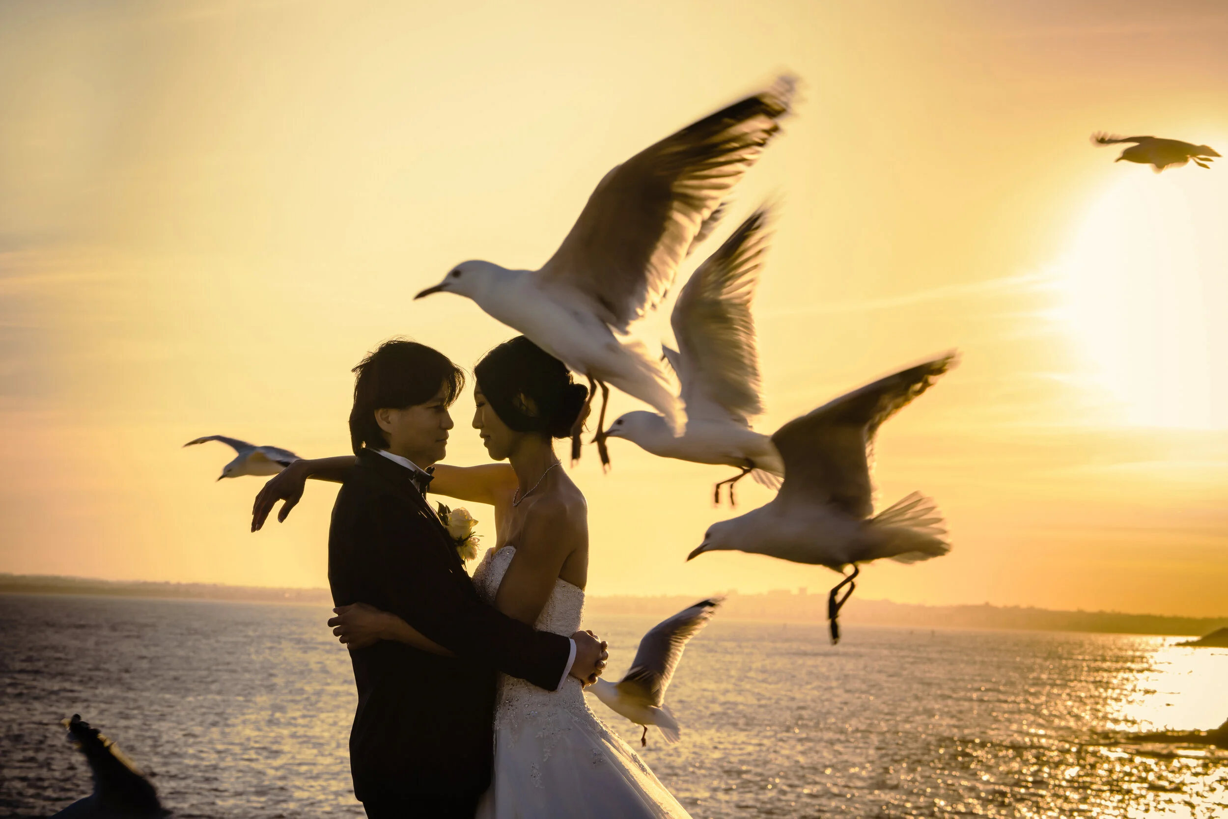 Vancouver Wedding photographer Tam Tran photography748.JPG