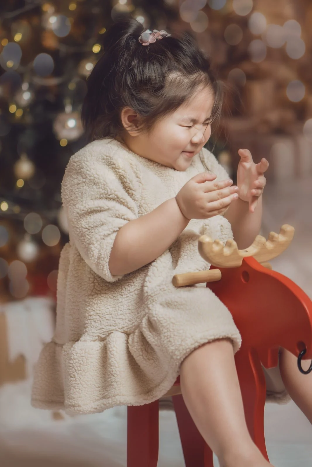 Christmas minis tamtranphotography21948.JPG