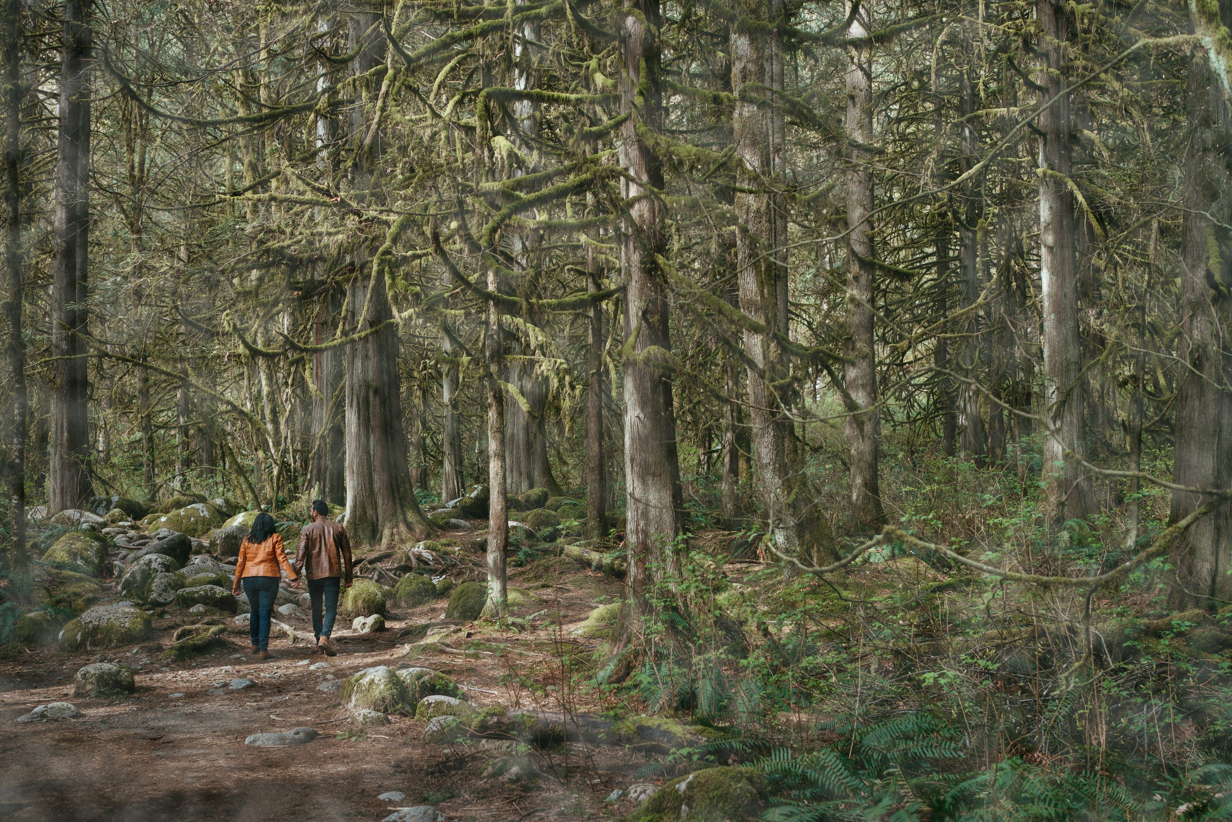 vancouver engagement photos8193.JPG